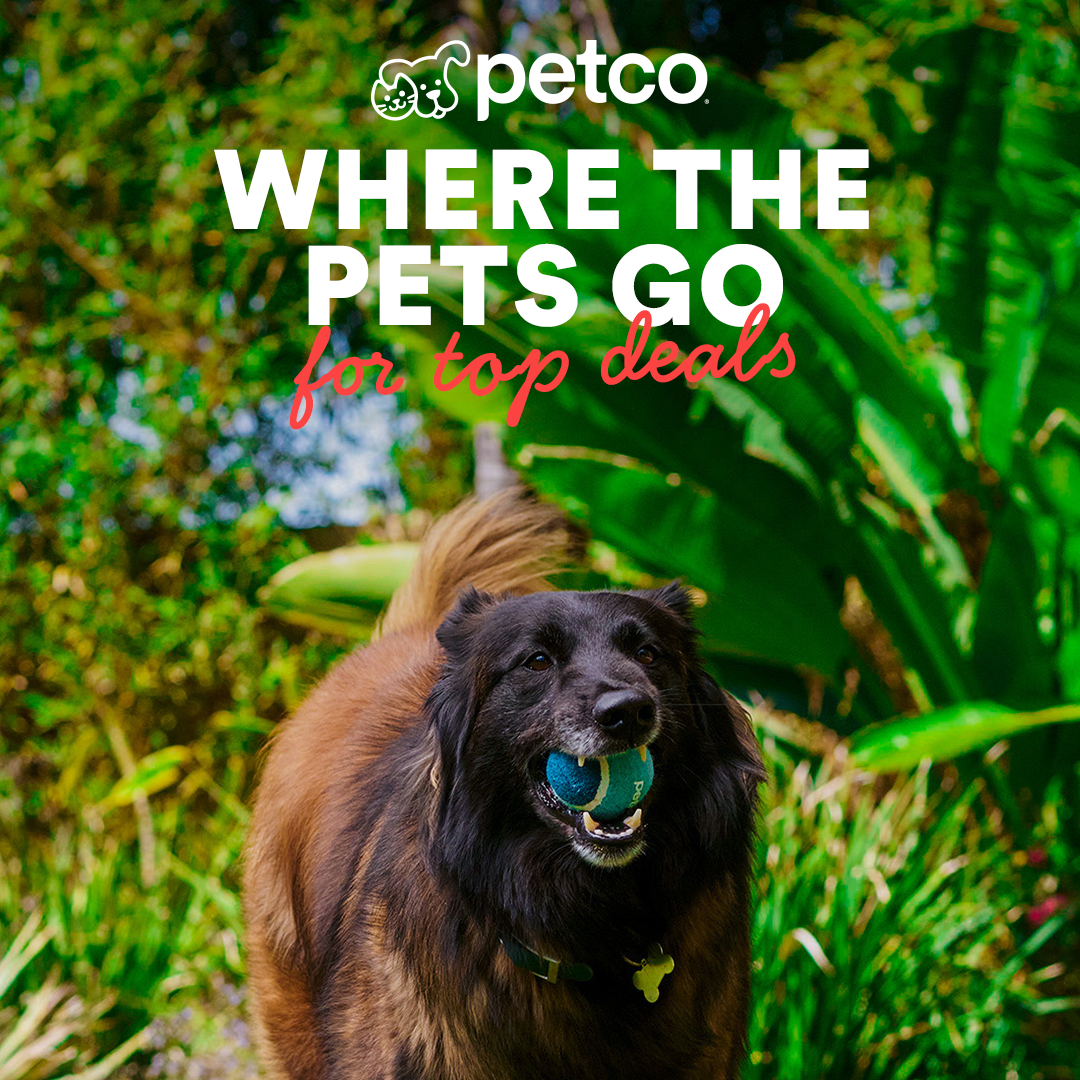 Petco Facebook ad