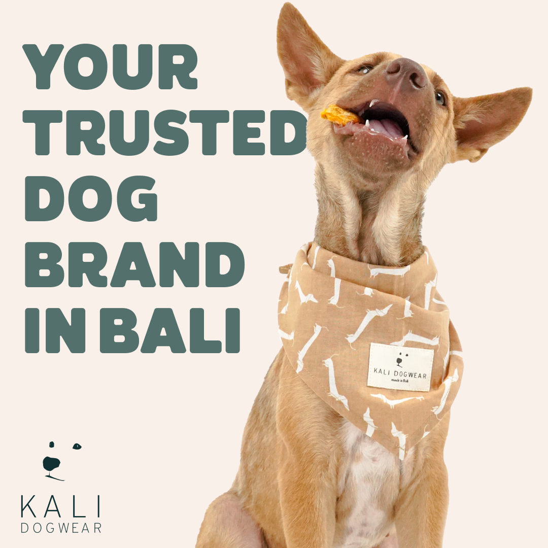 Kali Dogwear Facebook ad: Play-Proof | Designed for Active Pups