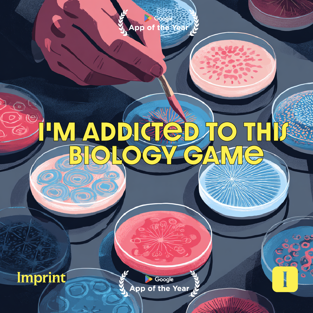 Imprint: Learn Visually Facebook ad
