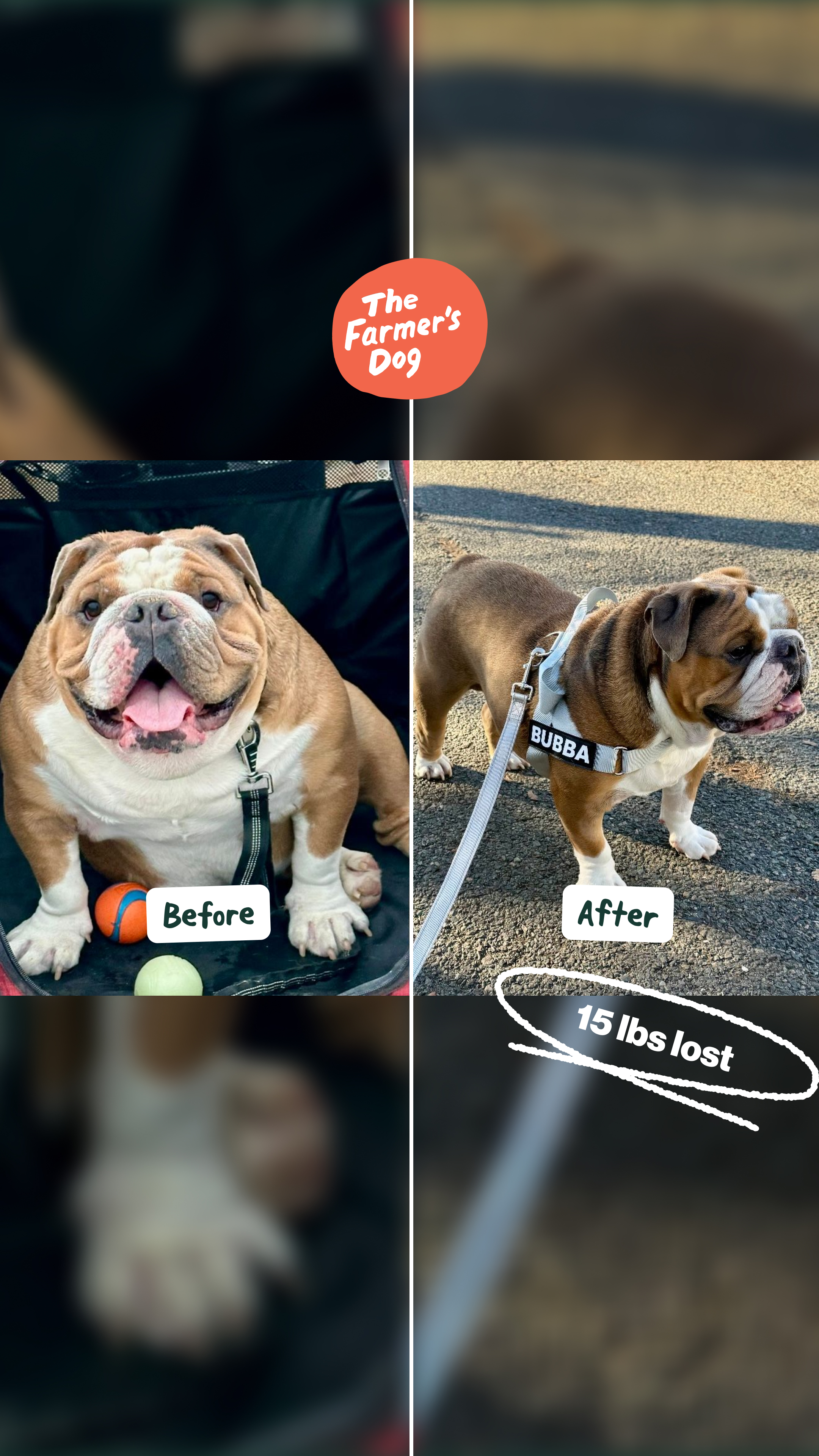 The Farmer's Dog Facebook ad