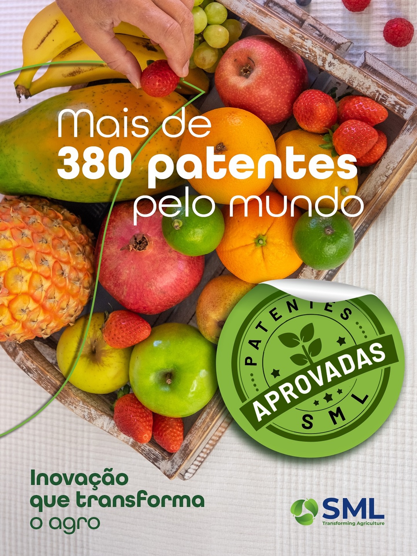 SML do Brasil Facebook ad: Da pesquisa ao campo, há mais de 50…