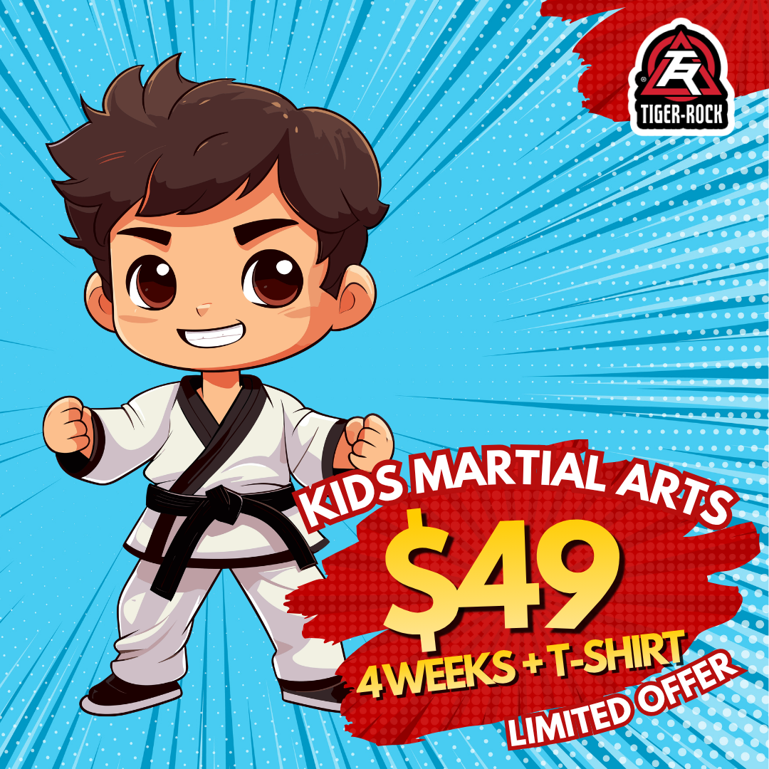 Tiger Rock Martial Arts of Katy South Facebook ad