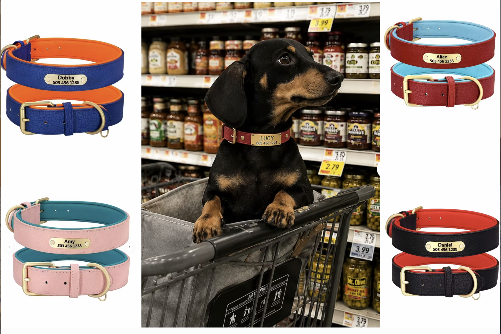 Pawllaofficial Facebook ad: Personalized Collar, Peace of Mind