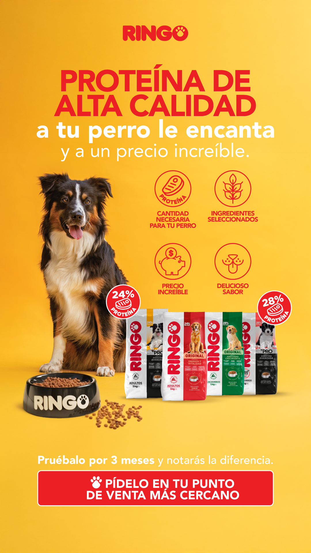 EfectoRingo Facebook ad