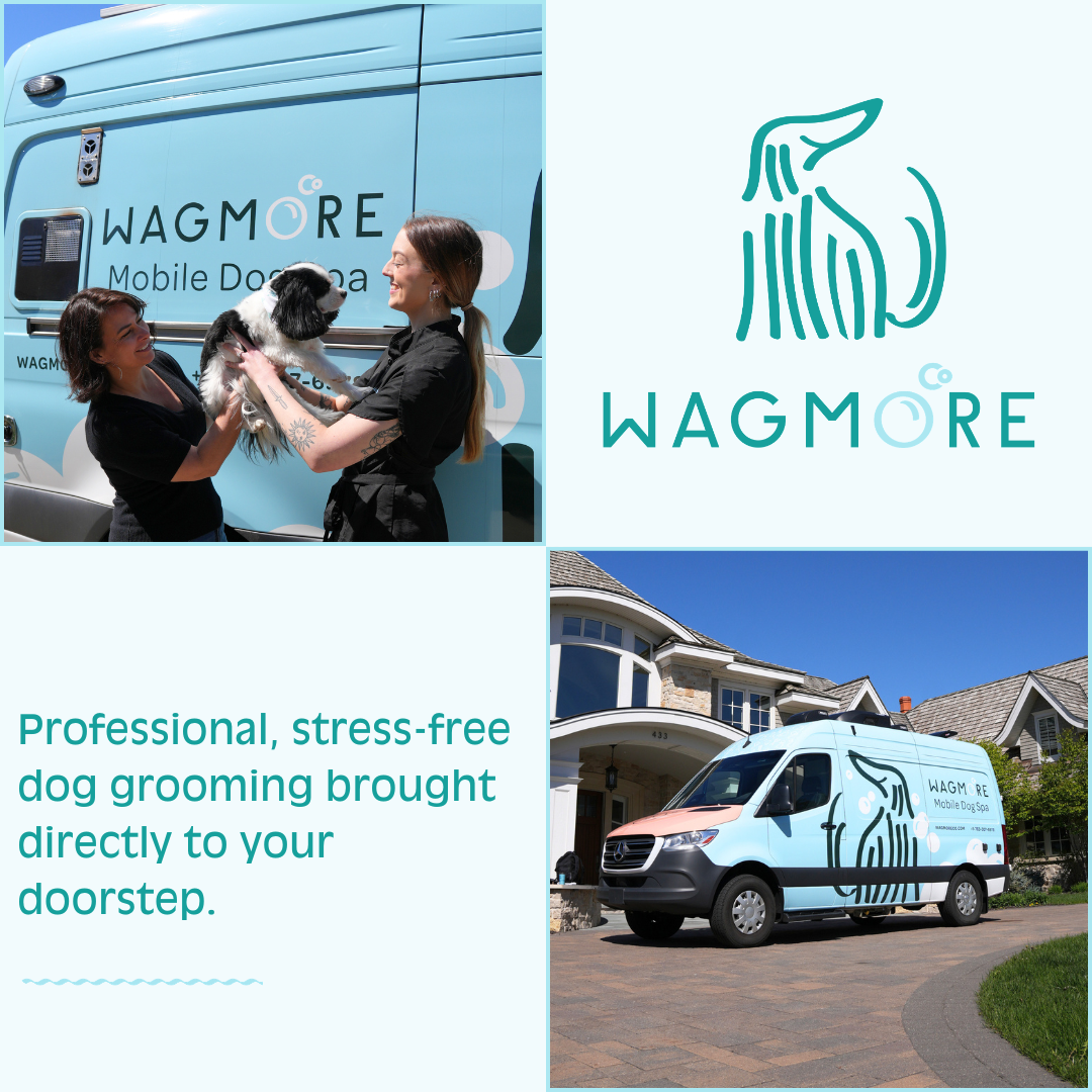 Wagmore Co Facebook ad: Pamper Your Pup!