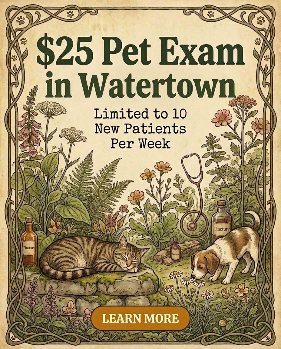 Gentle Healer Pet Clinic Facebook ad: Watertown Pet Exam for $25