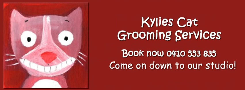 Kylies Cat Grooming Services. Facebook ad