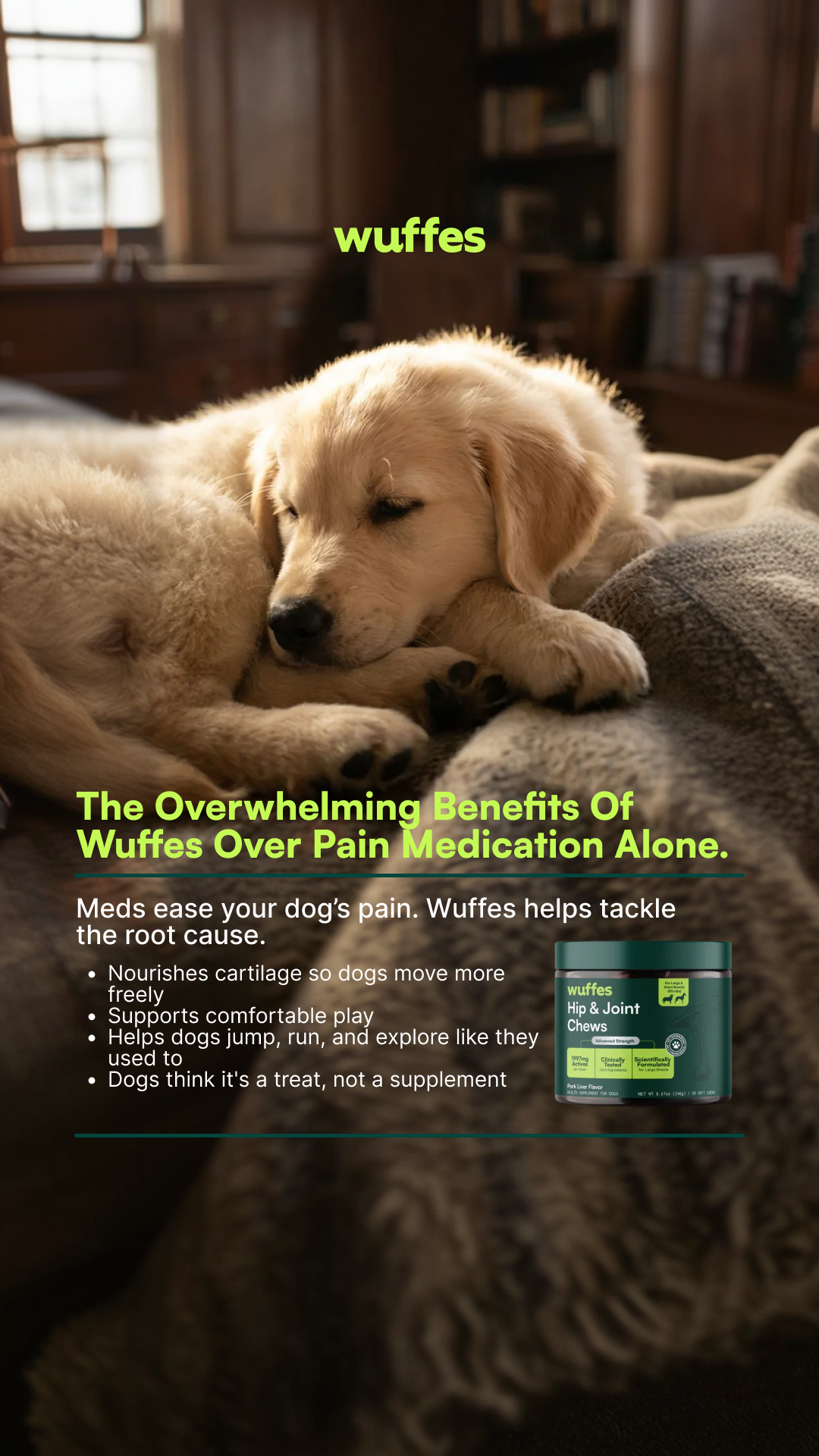 Everyday Pet Health Facebook ad