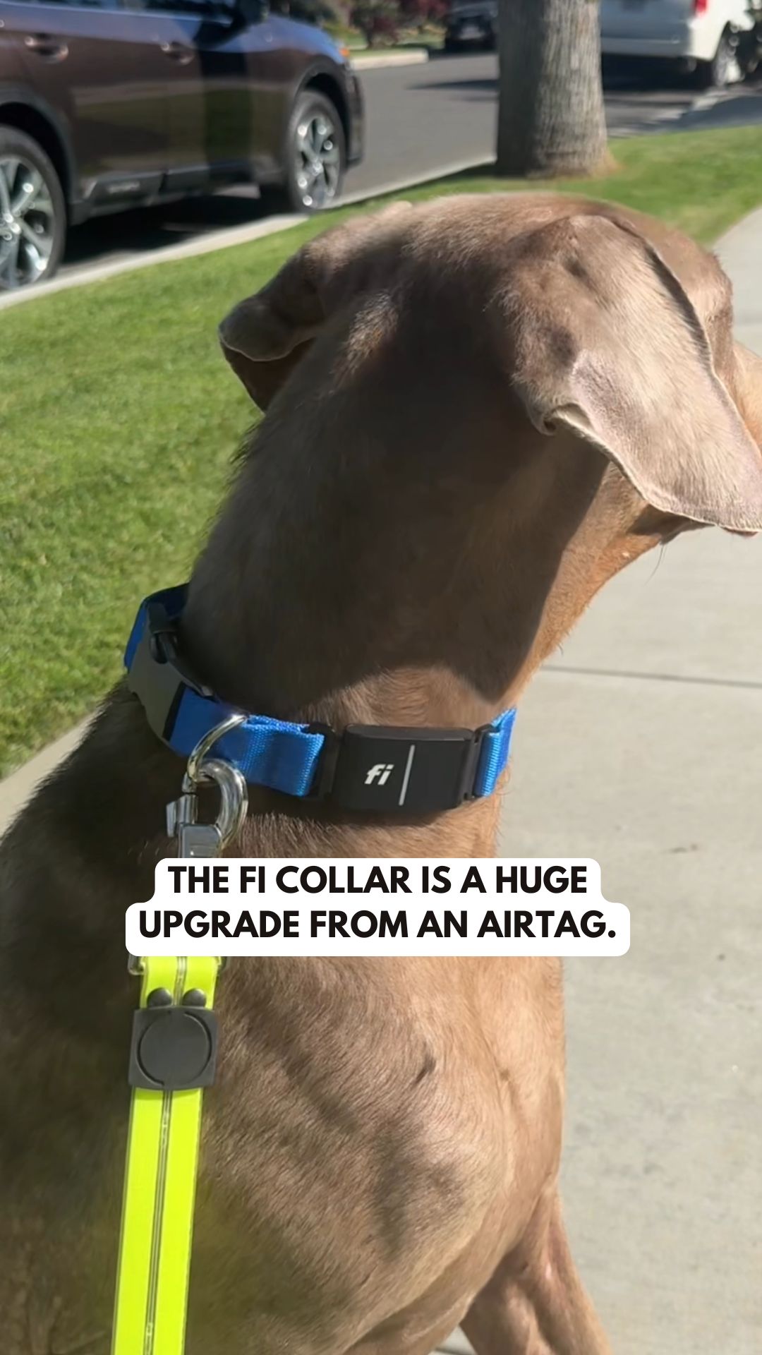 Fi Facebook ad