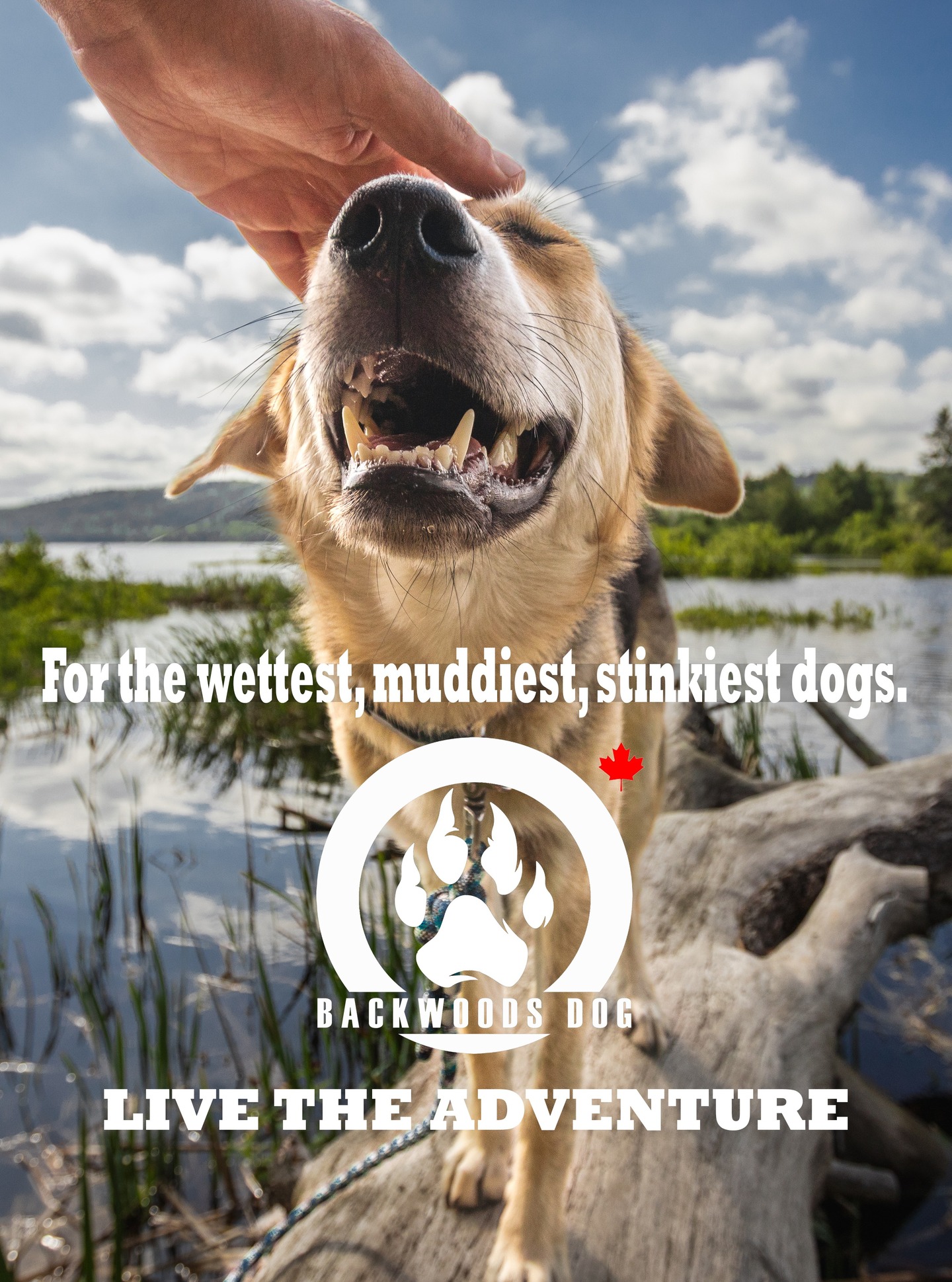 Backwoods Dog Facebook ad: Backwoods Dog Waterproof BioThane Dog Collars, Leashes…