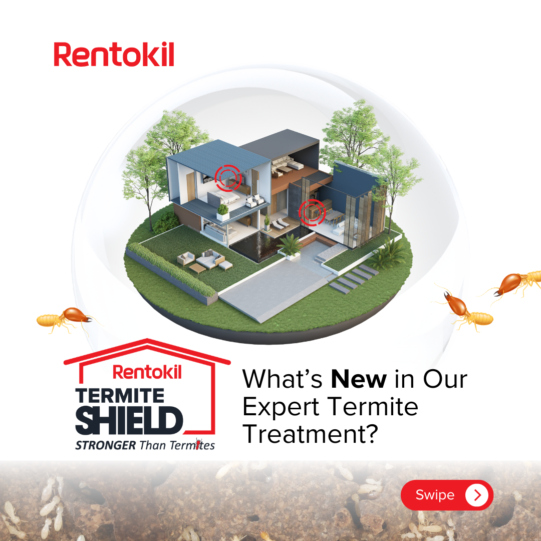 Rentokil Pest Control Malaysia Facebook ad