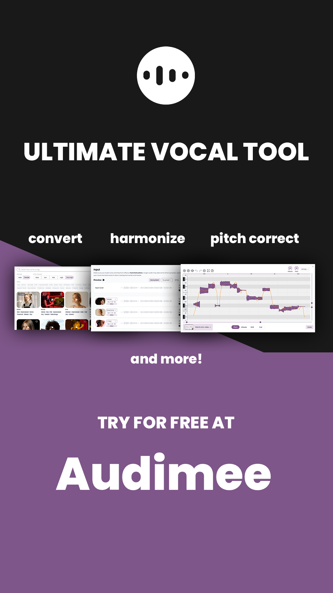 Audimee Facebook ad