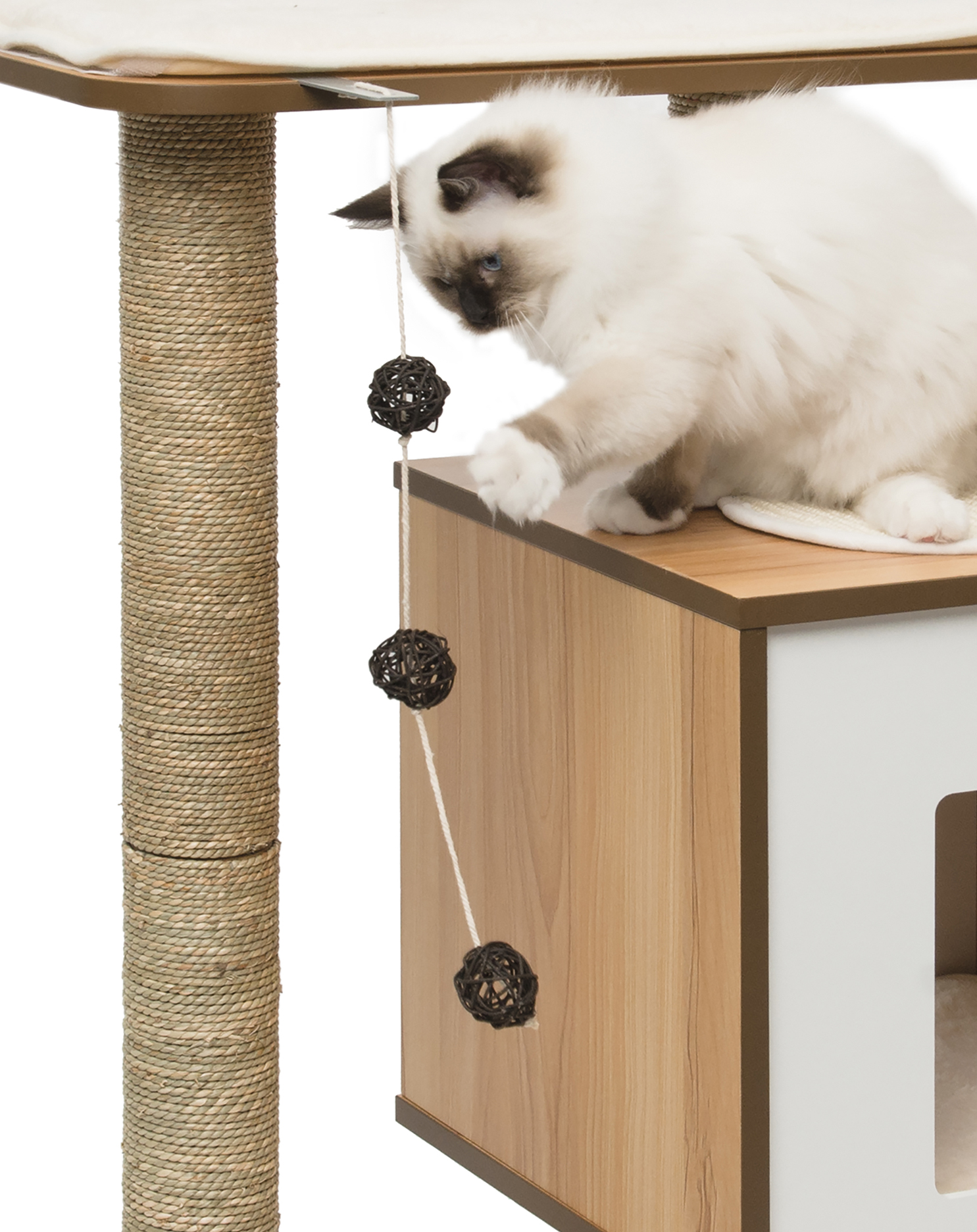 Catit Canada Facebook ad
