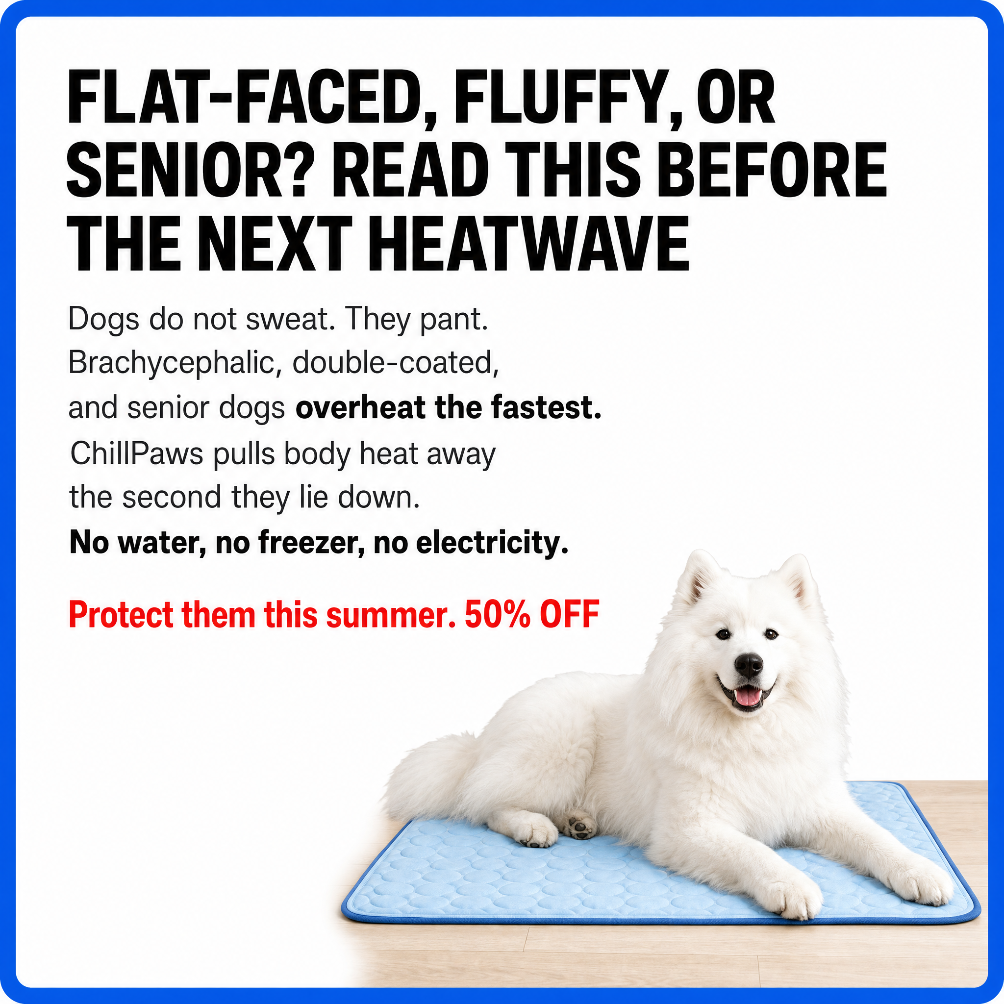 Rhykin Pet Co Facebook ad
