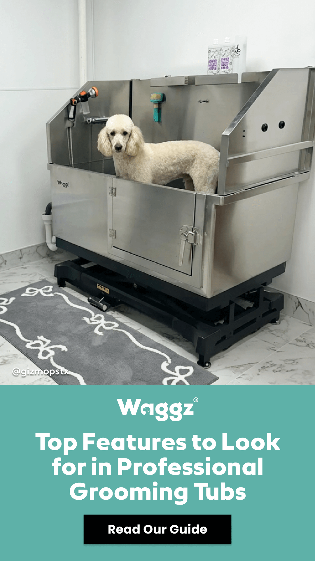 Waggz Facebook ad