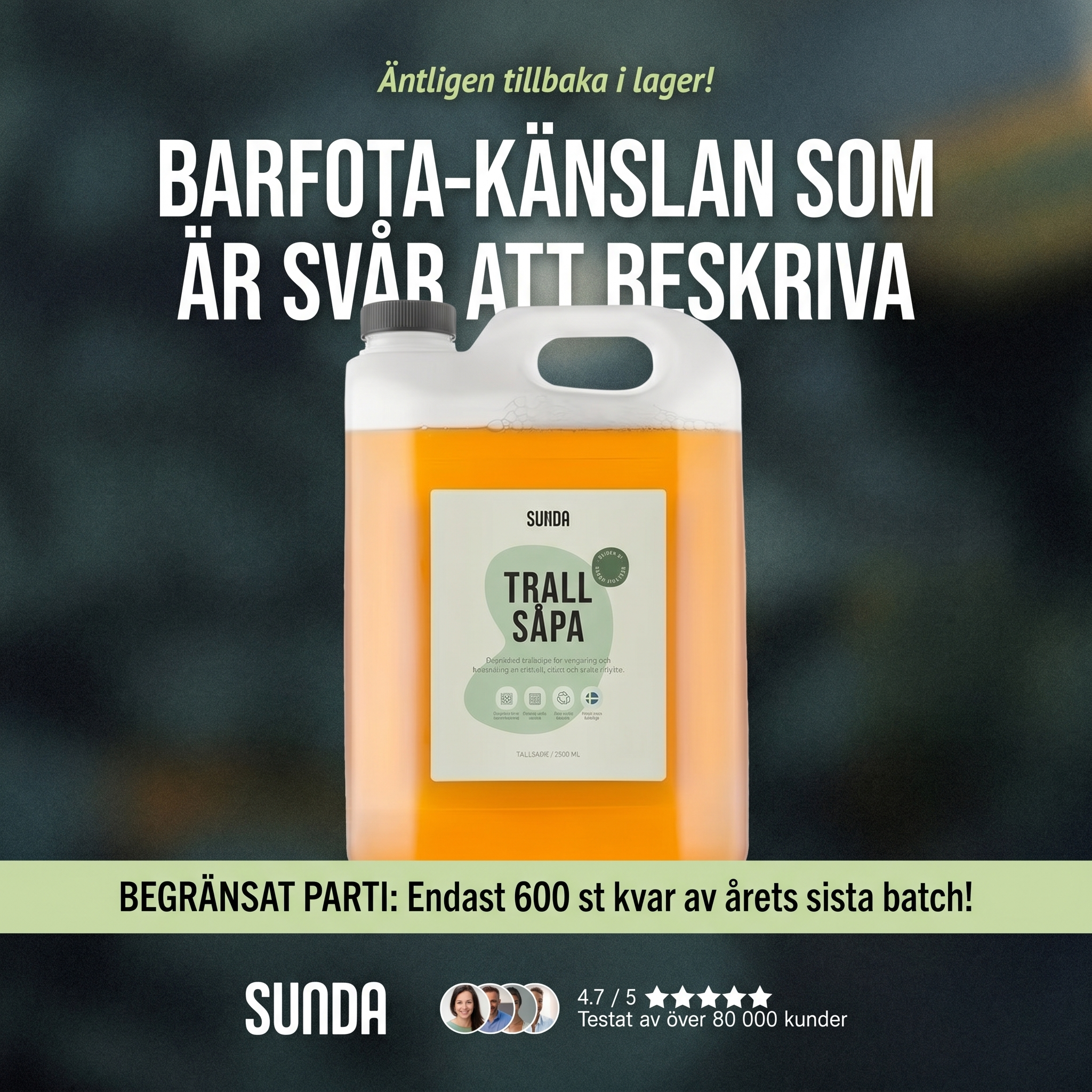 Sunda Facebook ad