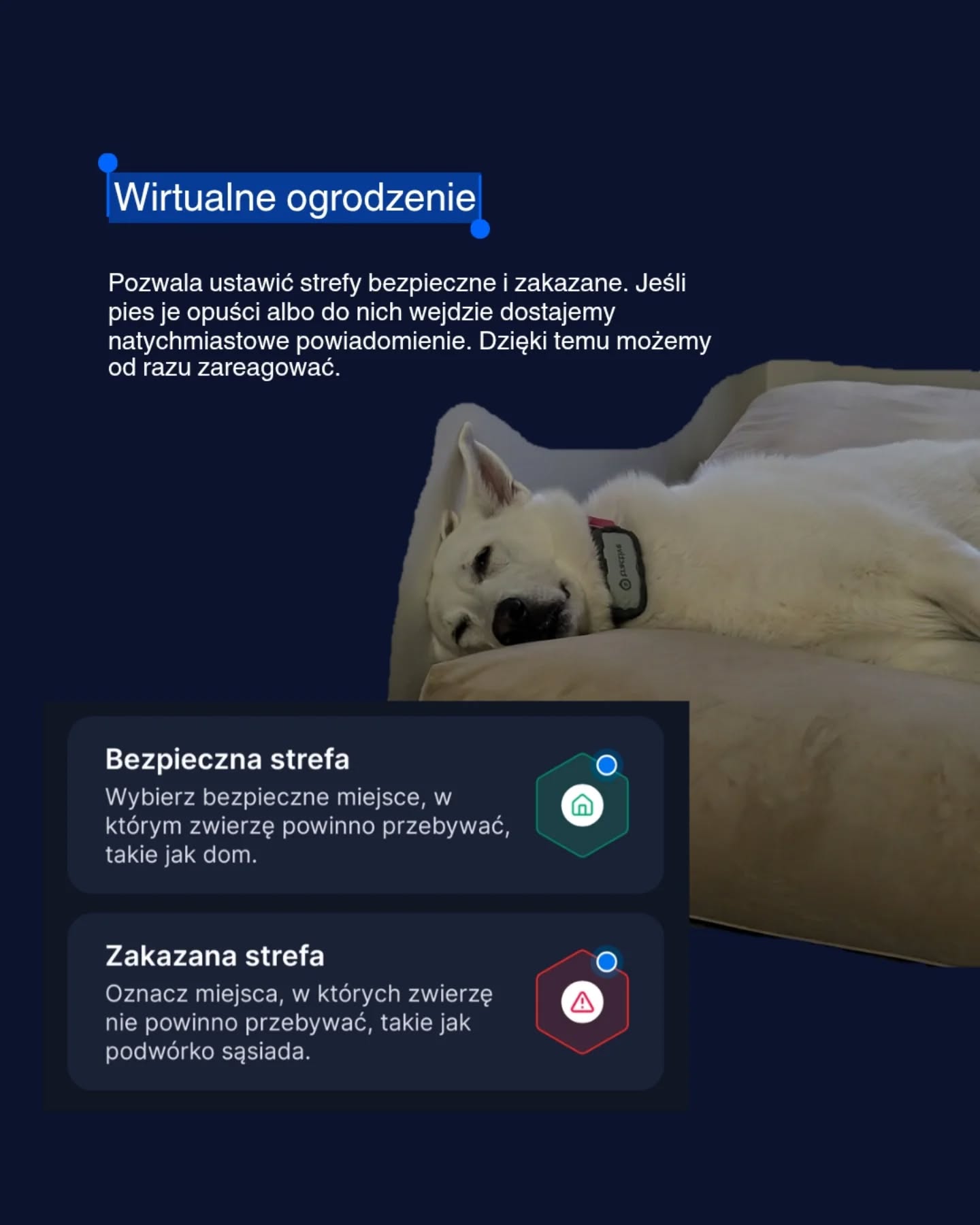 faza.swiss.shepherd Facebook ad