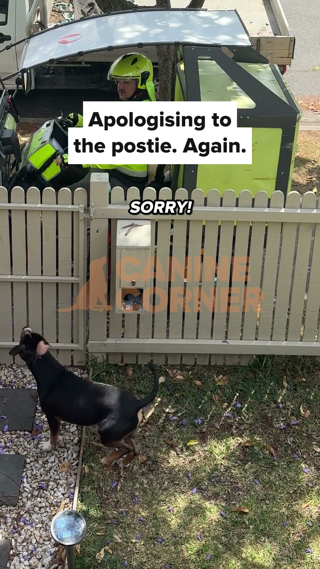 Canine Corner Australia Facebook ad: Saying sorry to the postie?