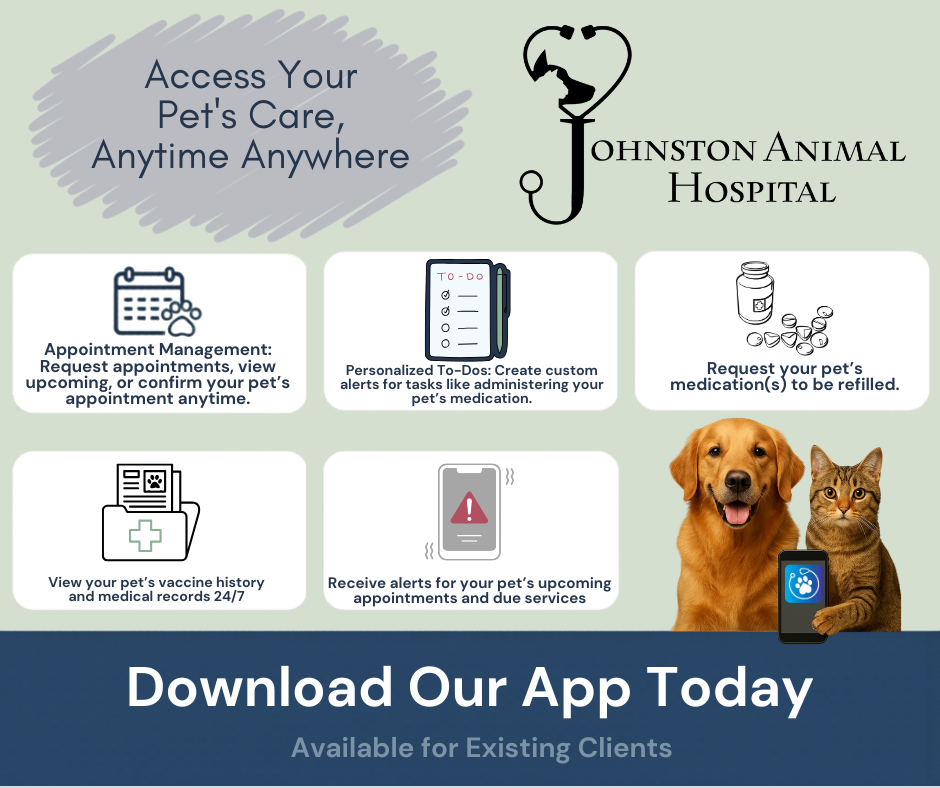 Johnston Animal Hospital Facebook ad