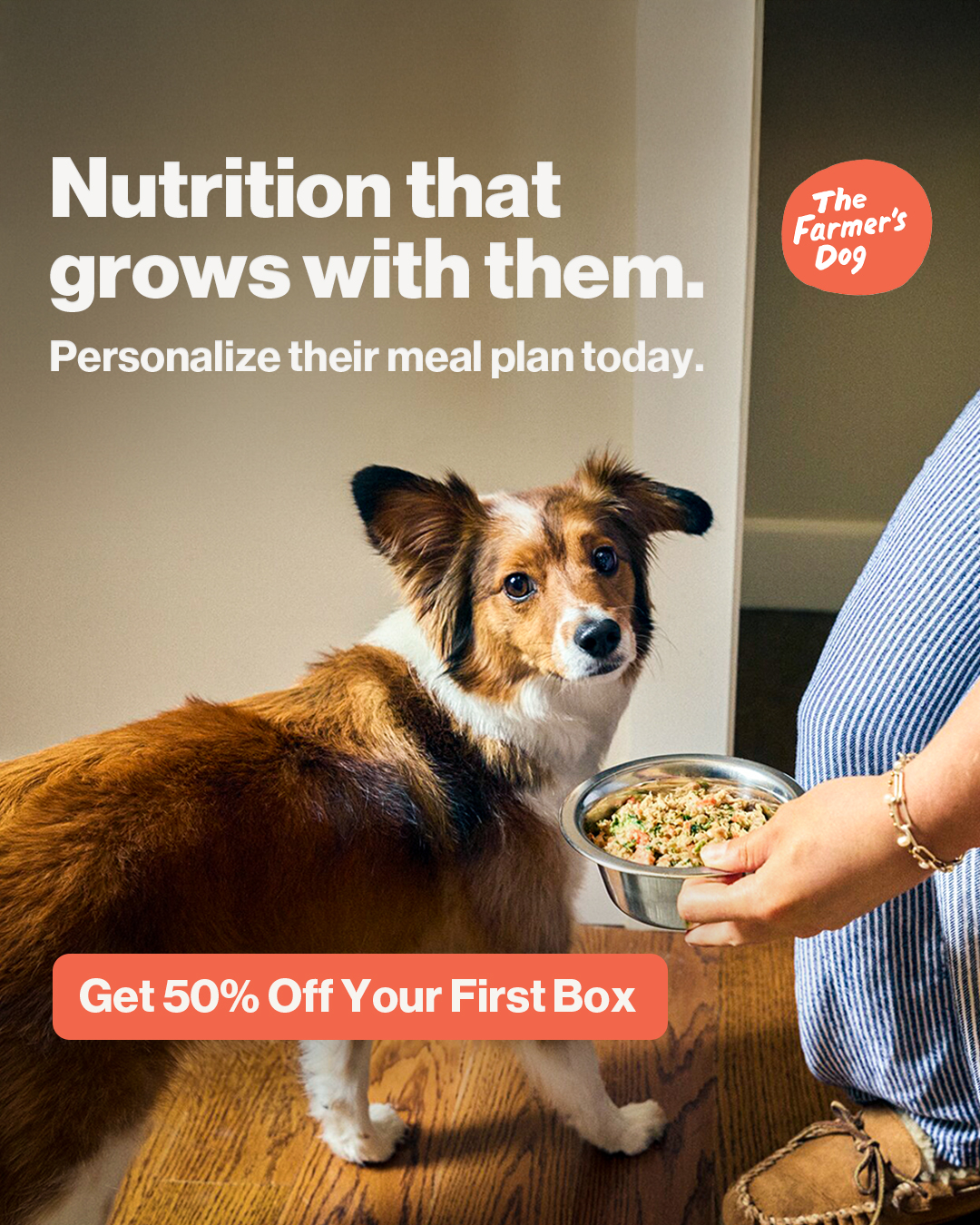 The Farmer's Dog Facebook ad
