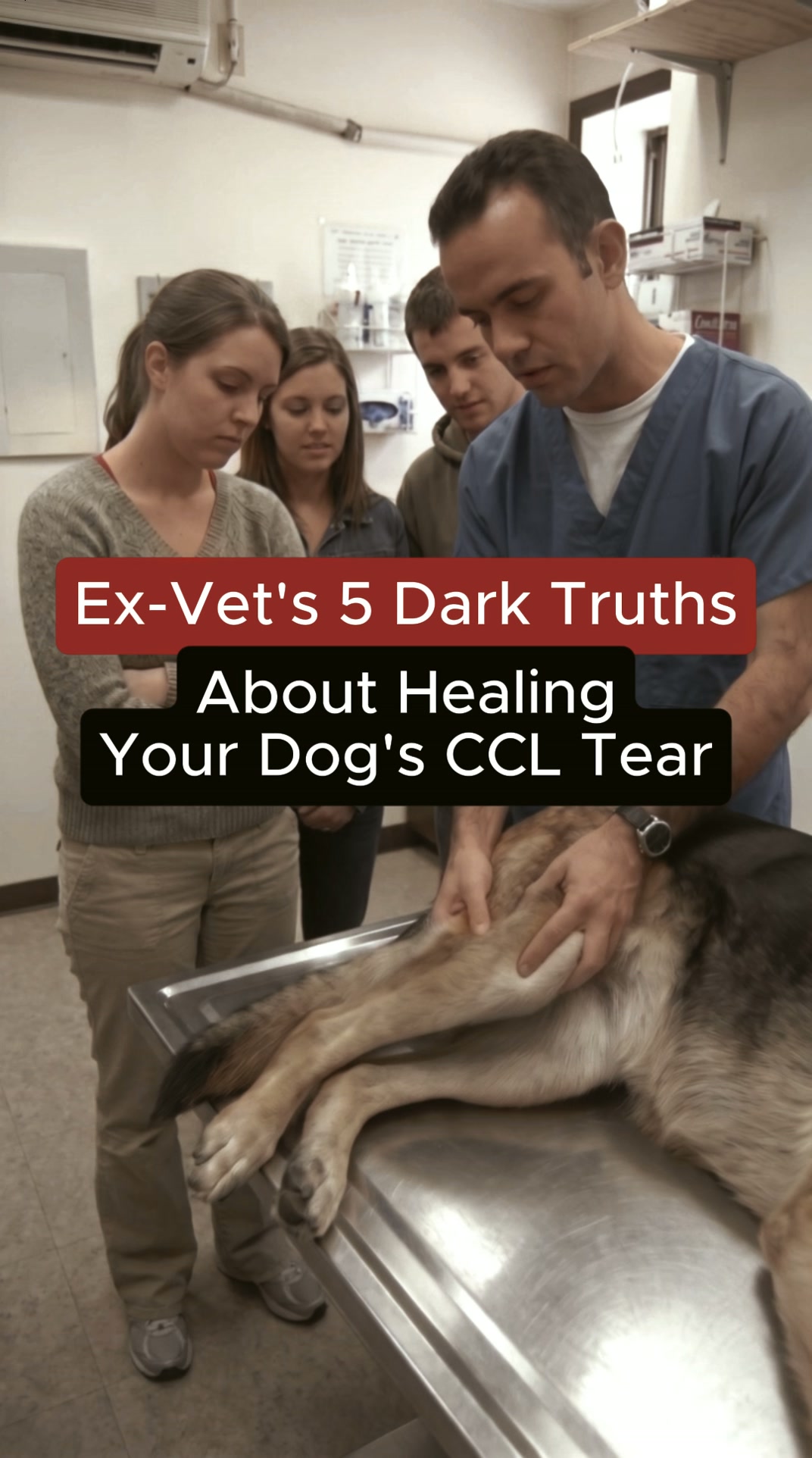Paws & Hearts Vet Facebook ad: The Dark Side of CCL Surgery Most Vets Don’t Mention