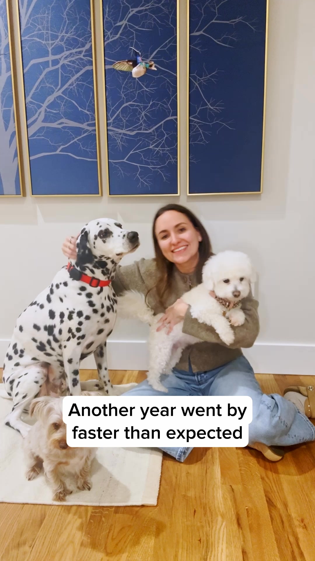 Darwin's Natural Pet Products Facebook ad: Give your pet the gift of a longer, healthier life