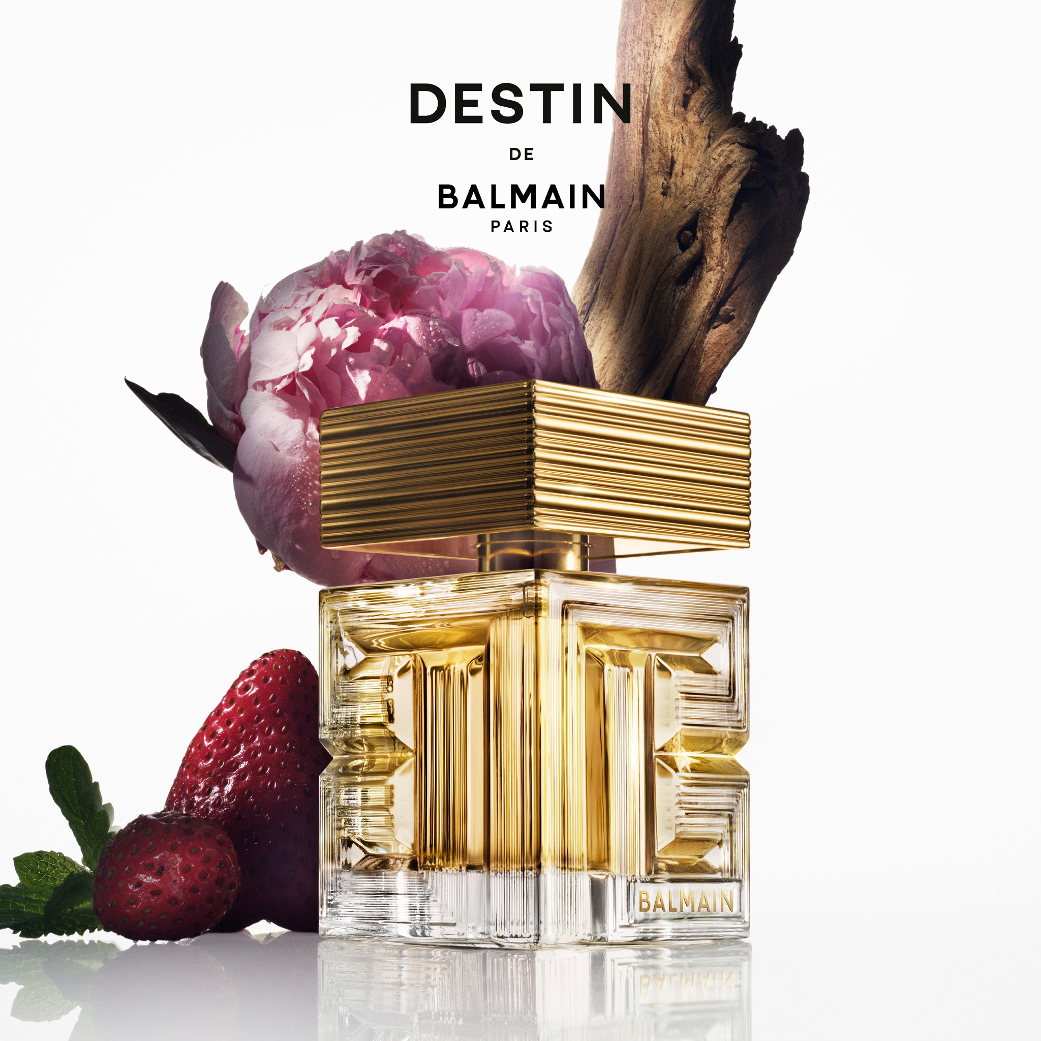Balmain Beauty Facebook ad: DESTIN DE BALMAIN