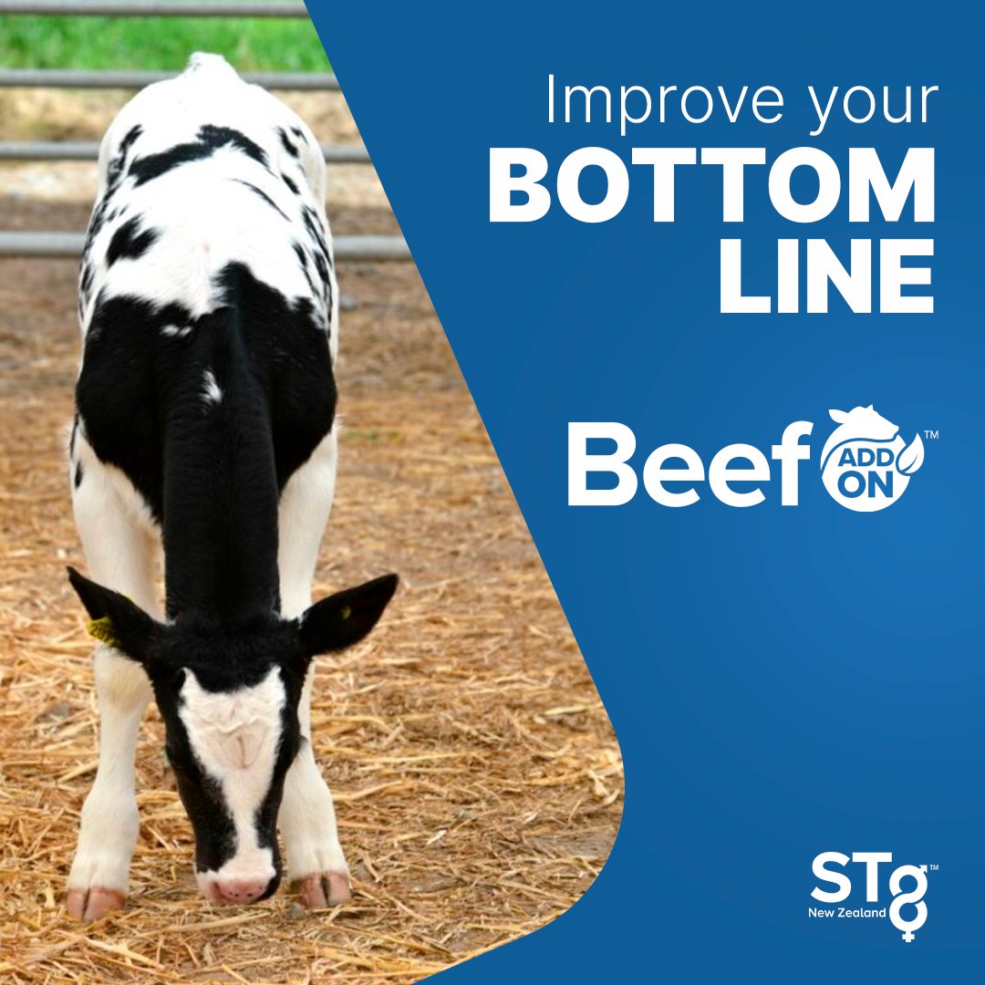 STgenetics New Zealand Facebook ad: Add on Beef Add On from STgenetics New…