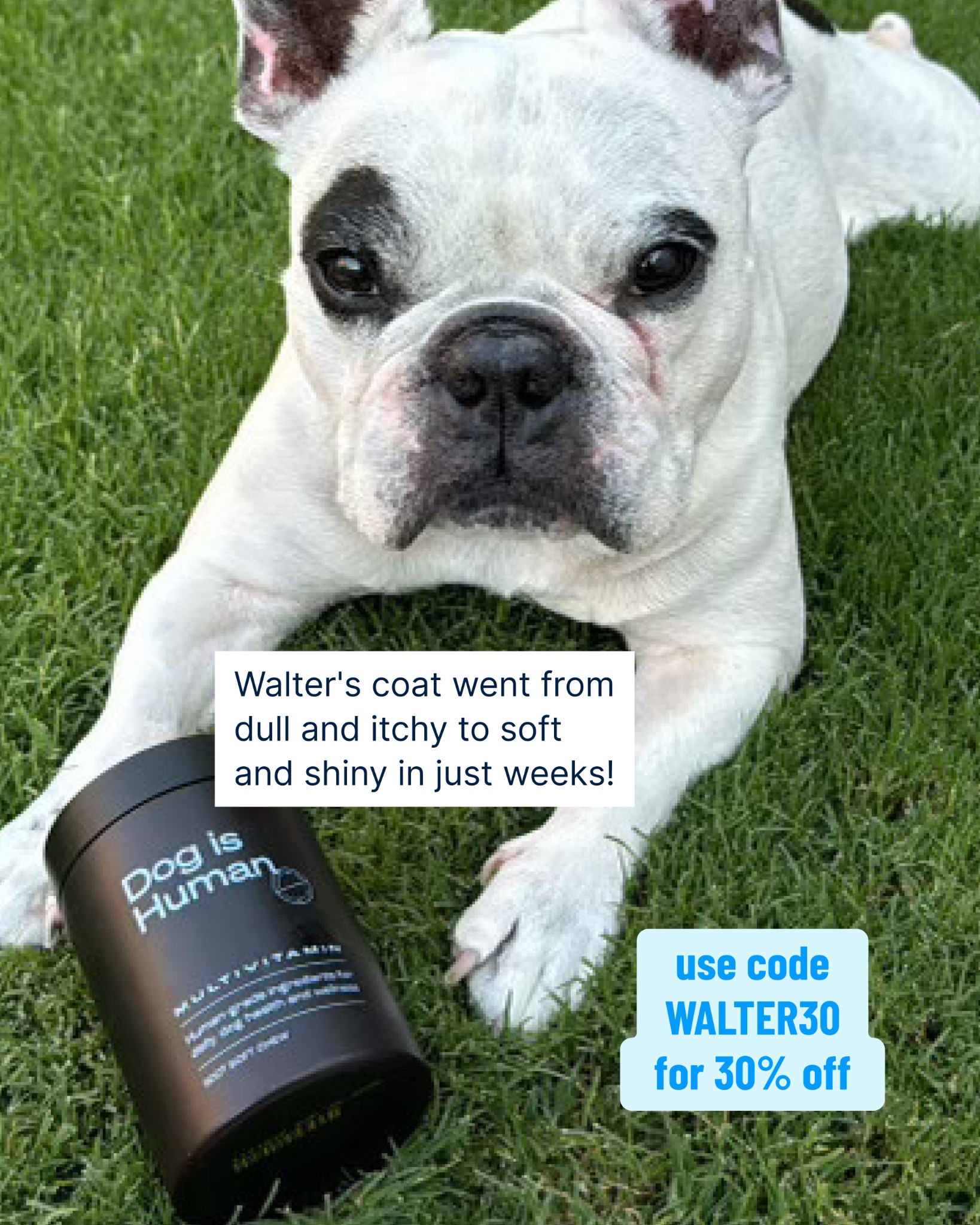 Walter Geoffrey Facebook ad