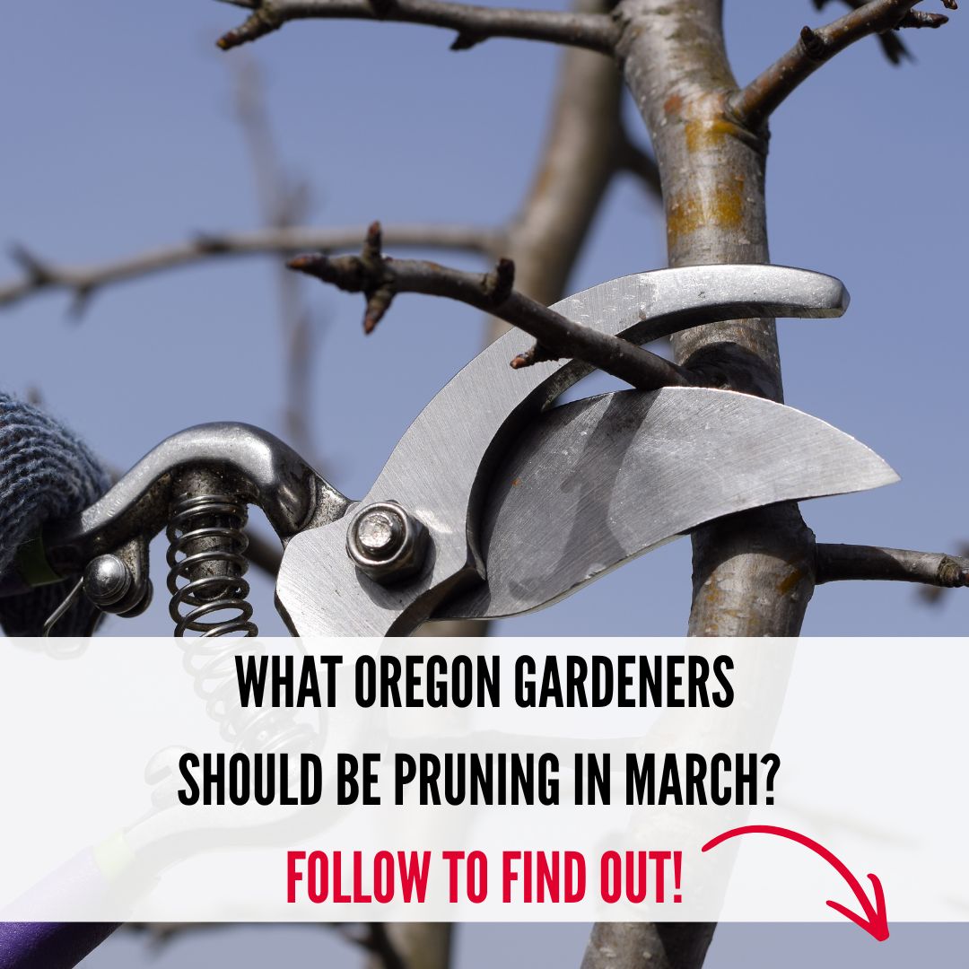 Oregon Gardener Facebook ad from Mar 23, 2026