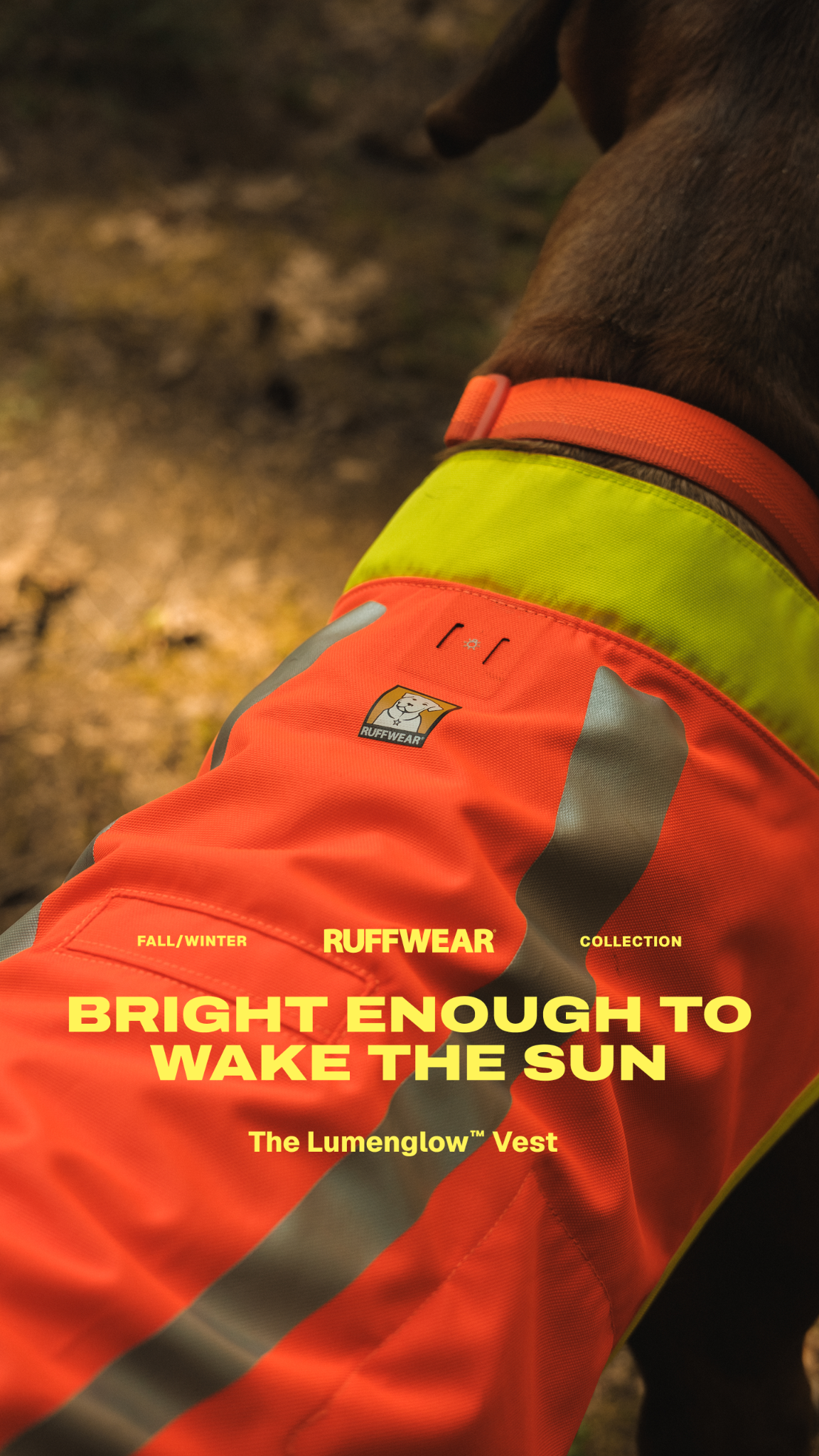 Ruffwear Facebook ad