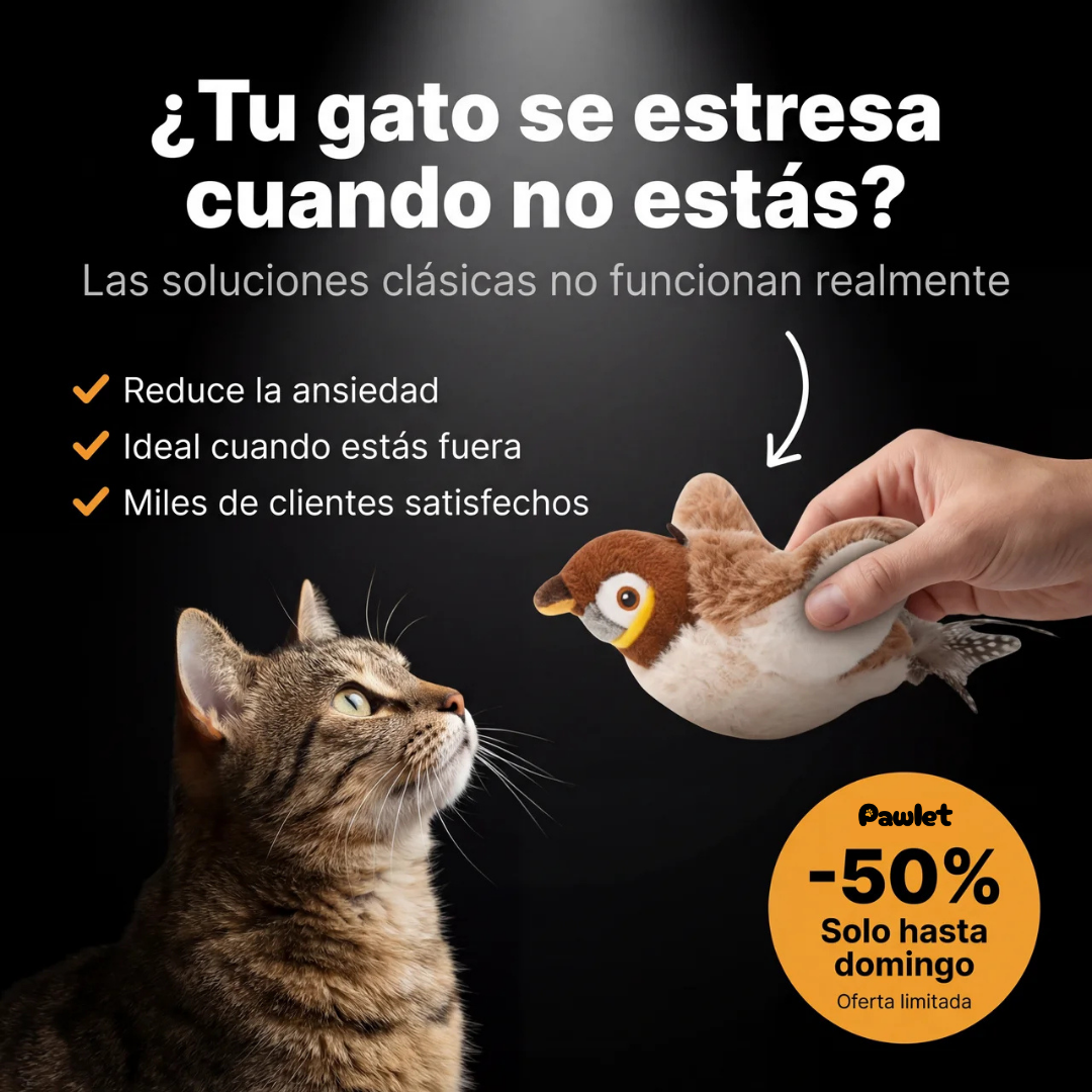 Pawlet Facebook ad