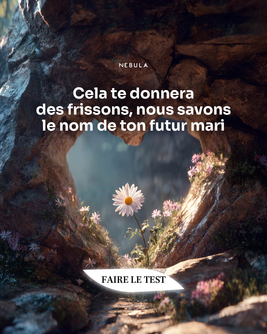 Nebula: Marriage Compatibility Facebook ad