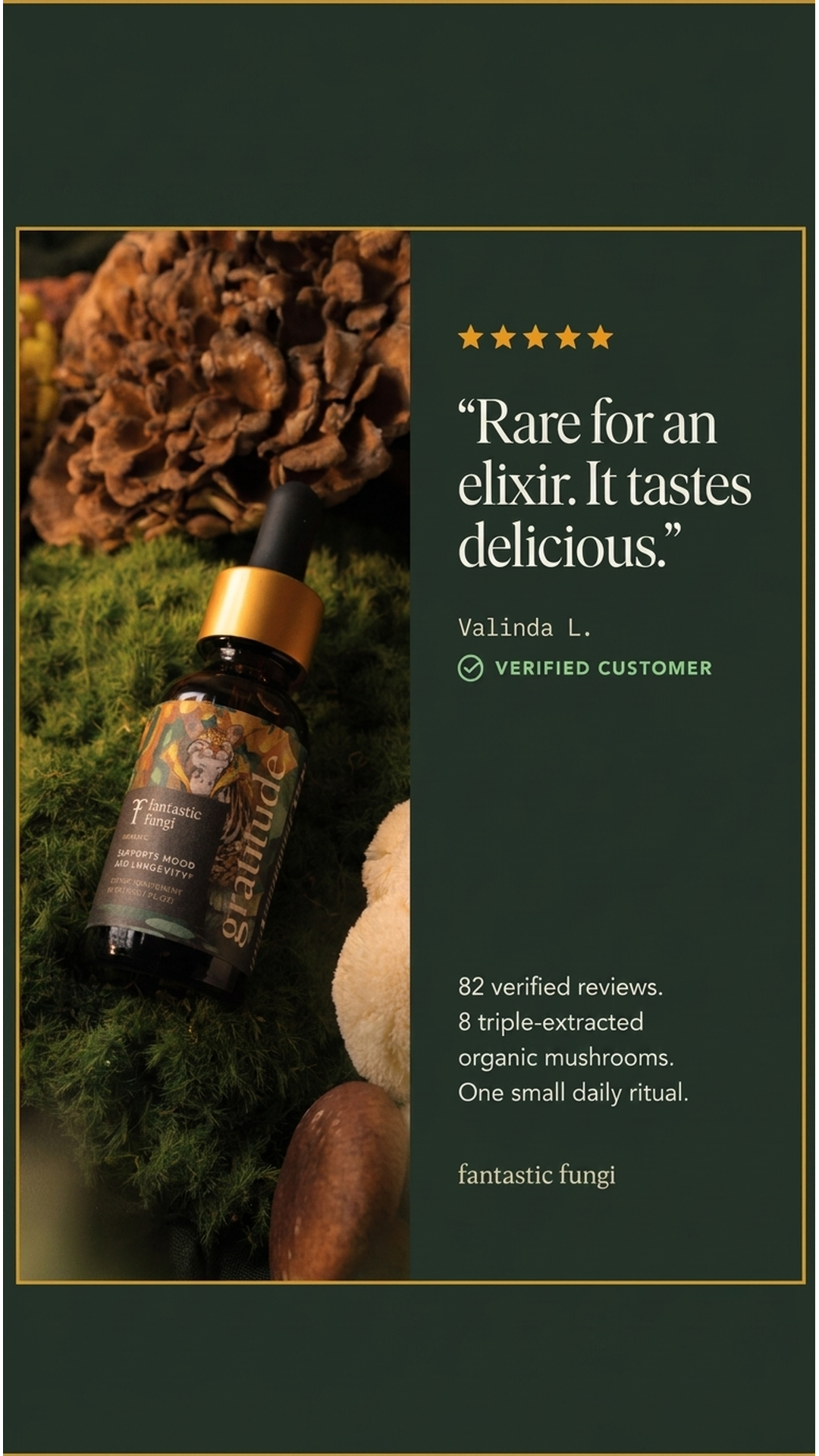 Fantastic Fungi Facebook ad