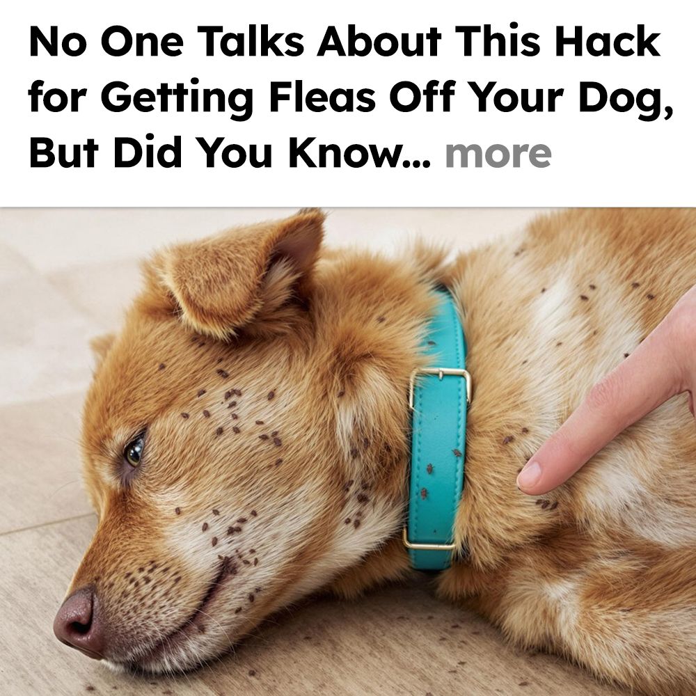 Flea Secrets Facebook ad