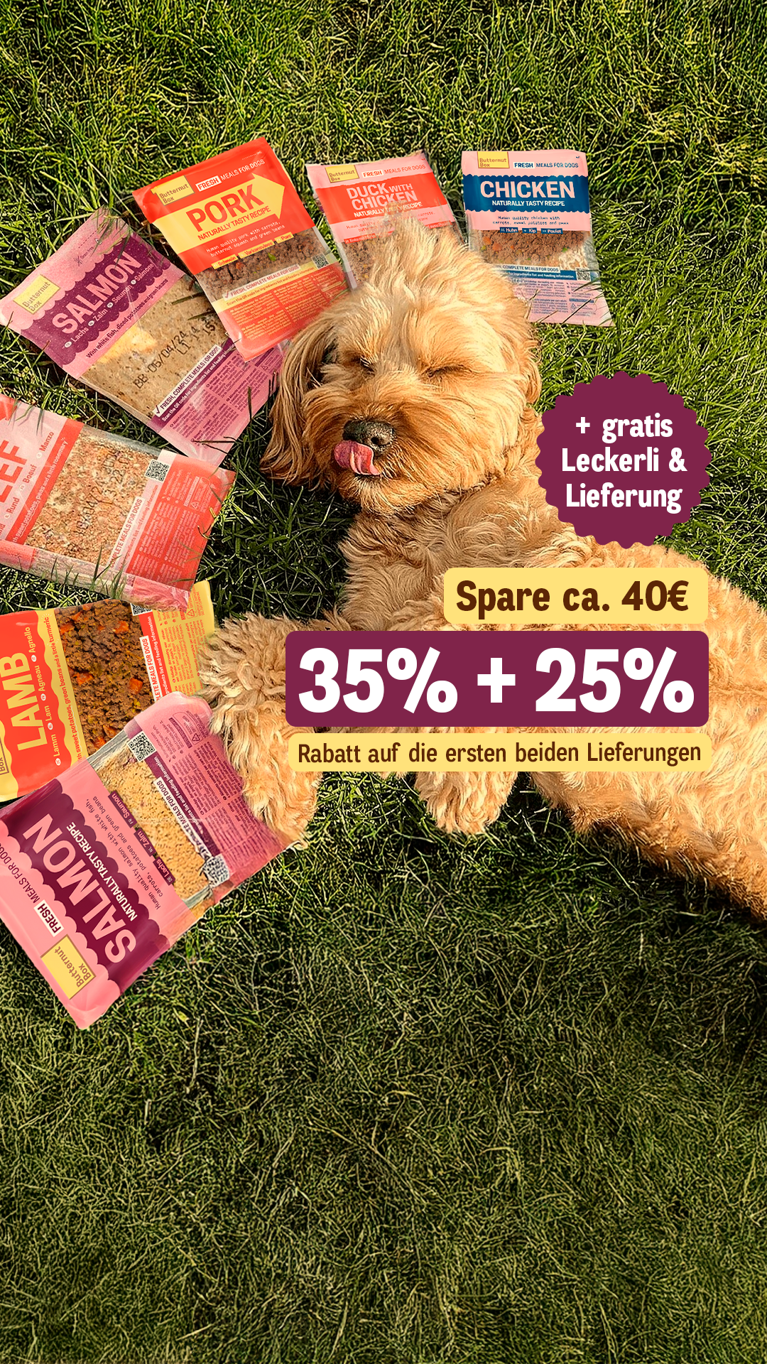 Butternut Box Deutschland Facebook ad from Mar 31, 2026