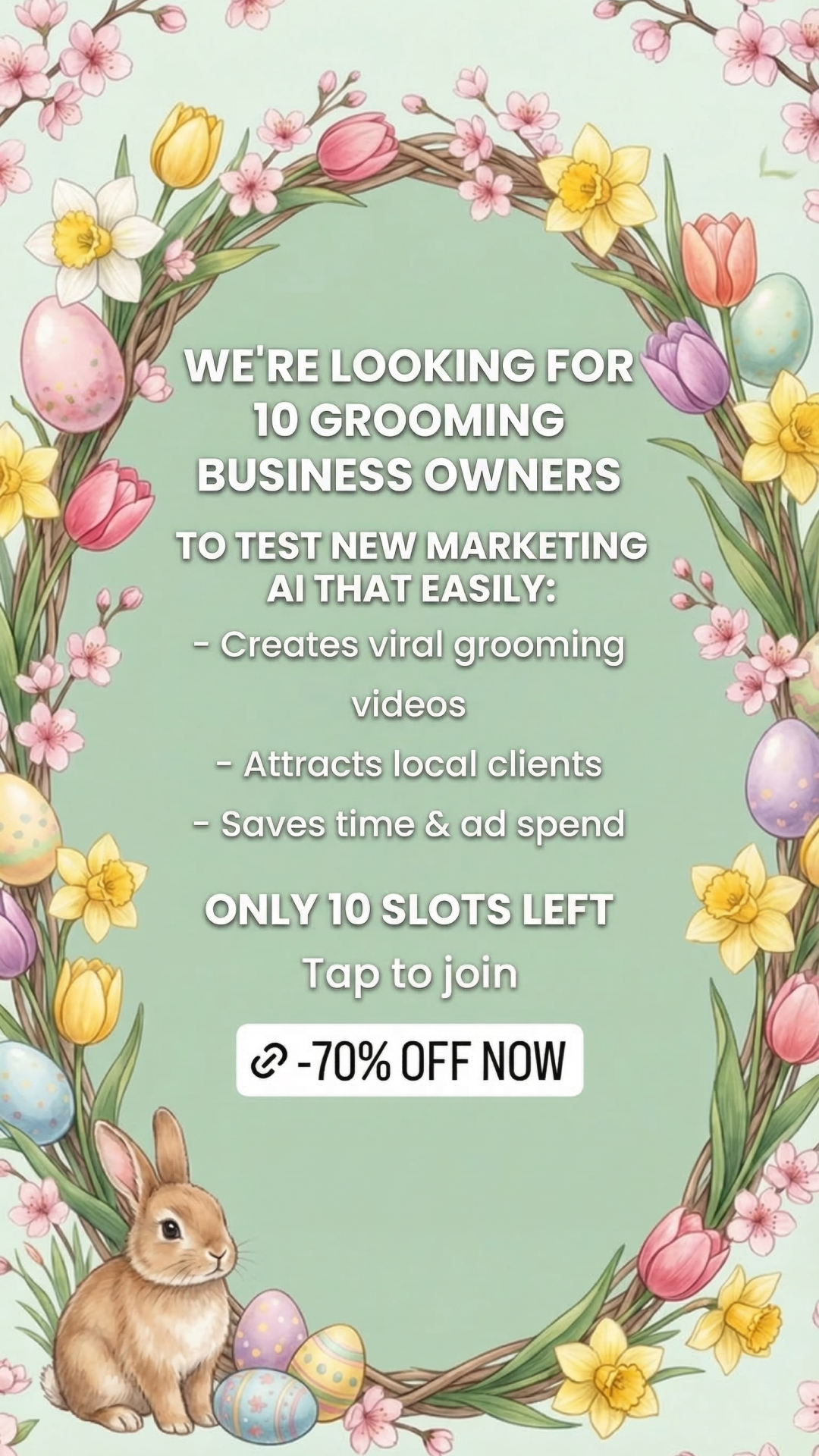 Zeely Facebook ad