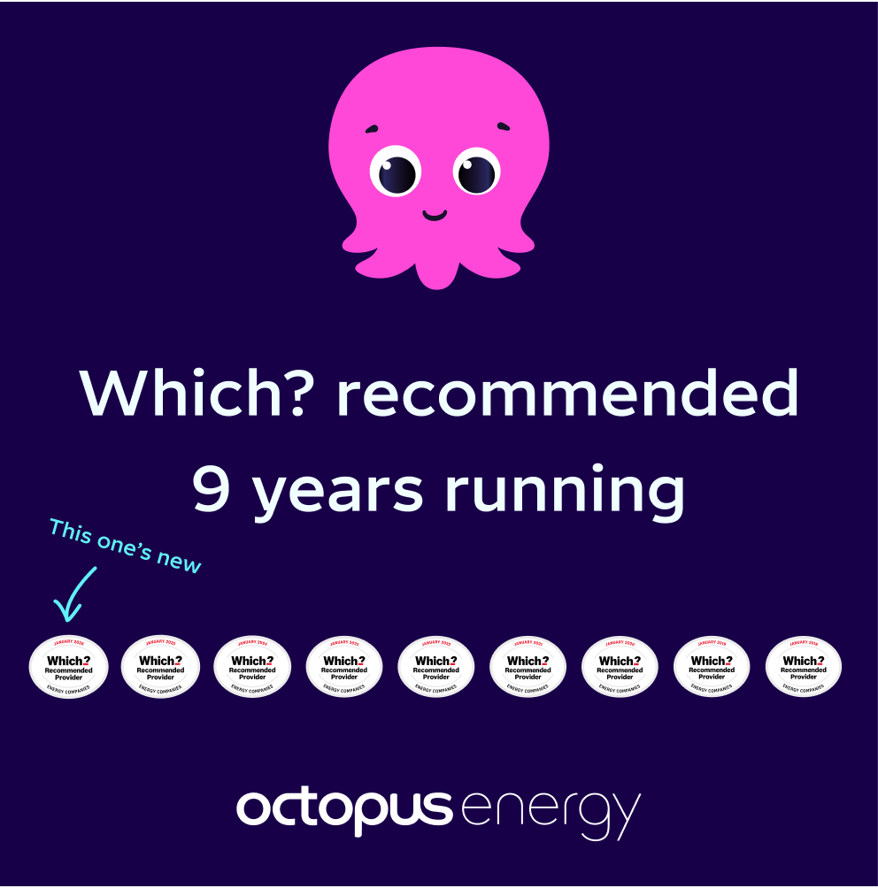 Octopus Energy Facebook ad