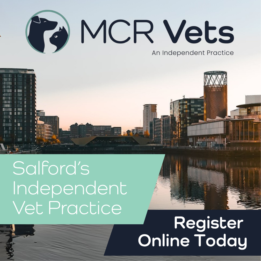 MCR Vets Facebook ad: Salford's Independent Vet Practice