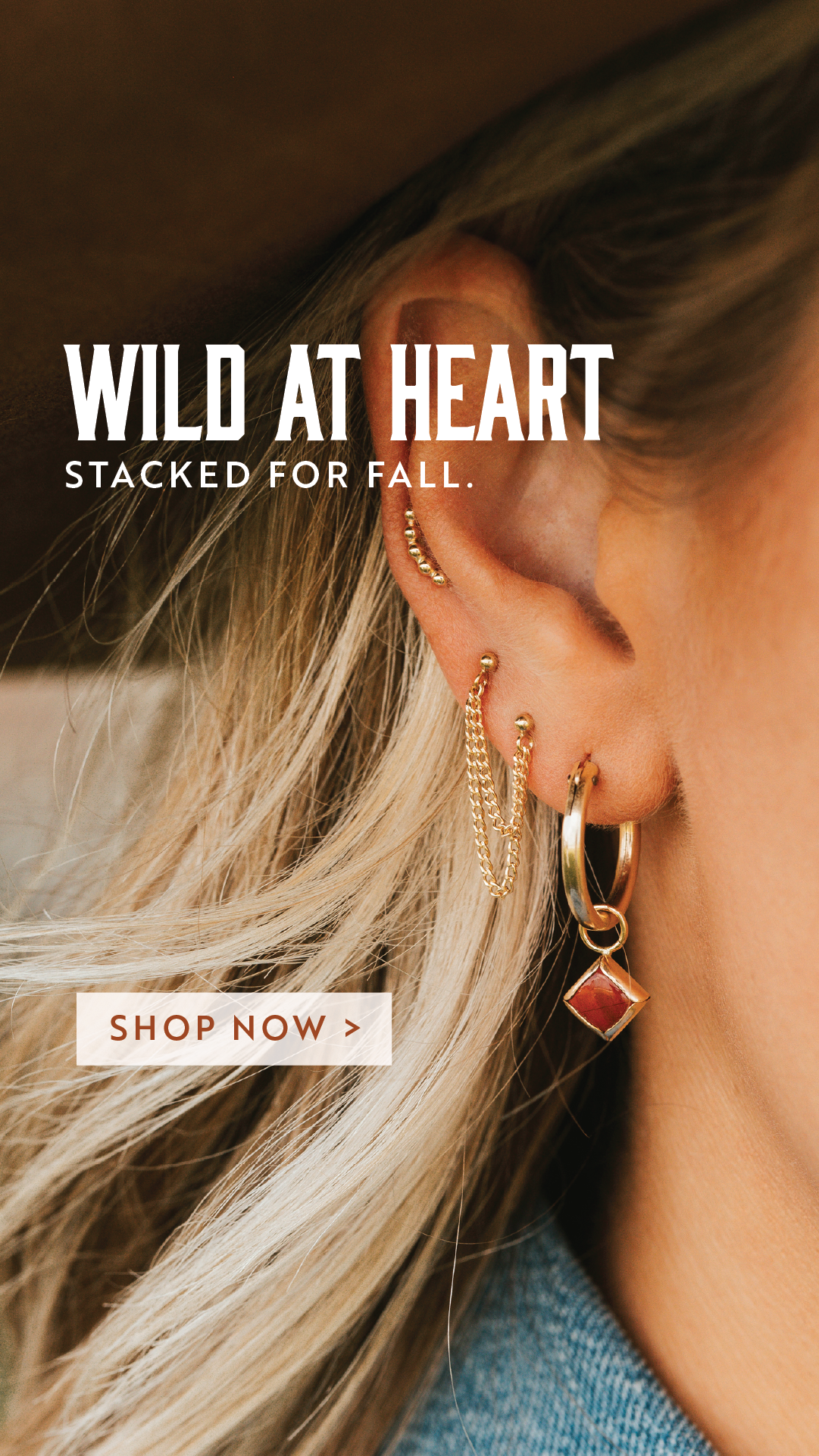 Hello Adorn Facebook ad