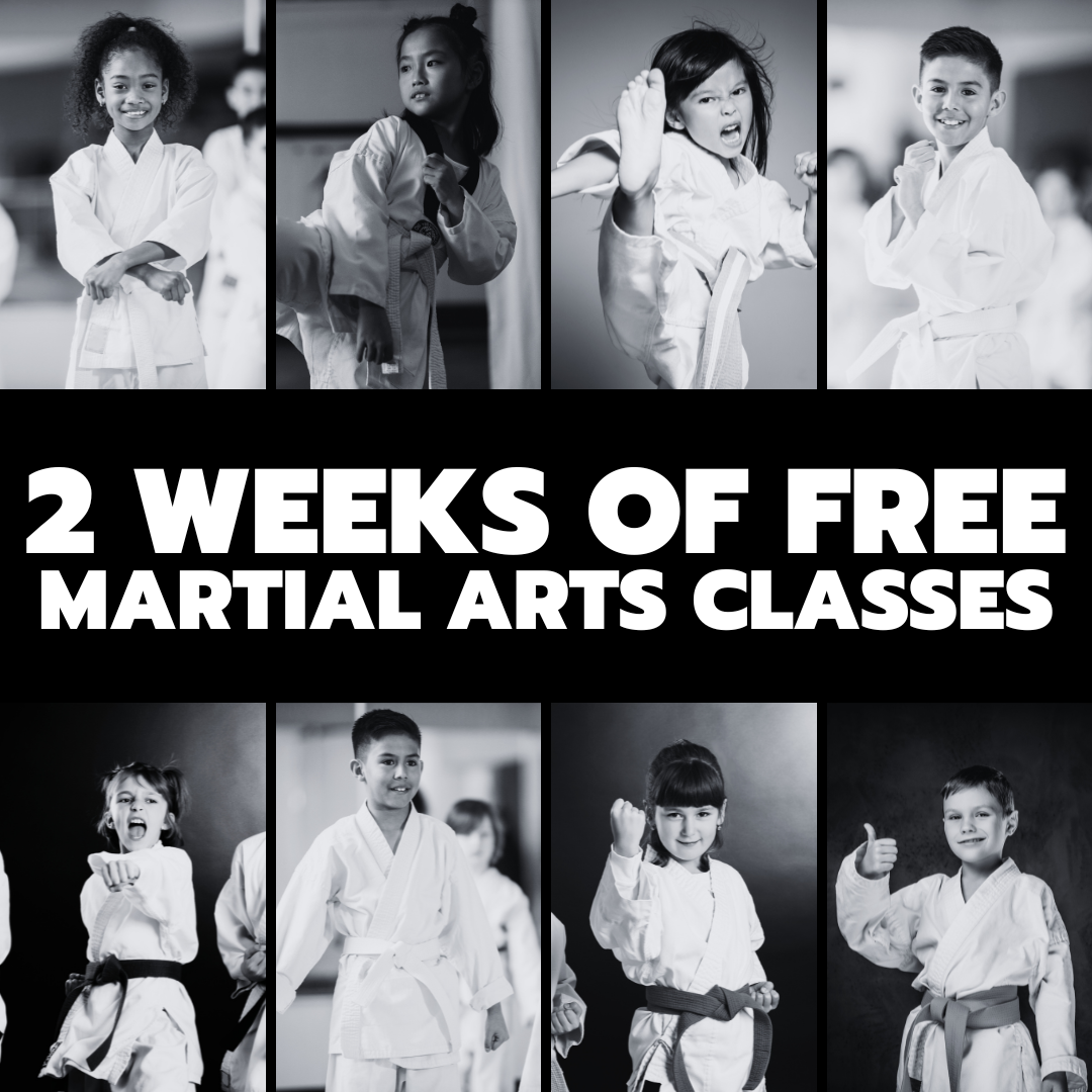TKO Martial Arts Academy Facebook ad