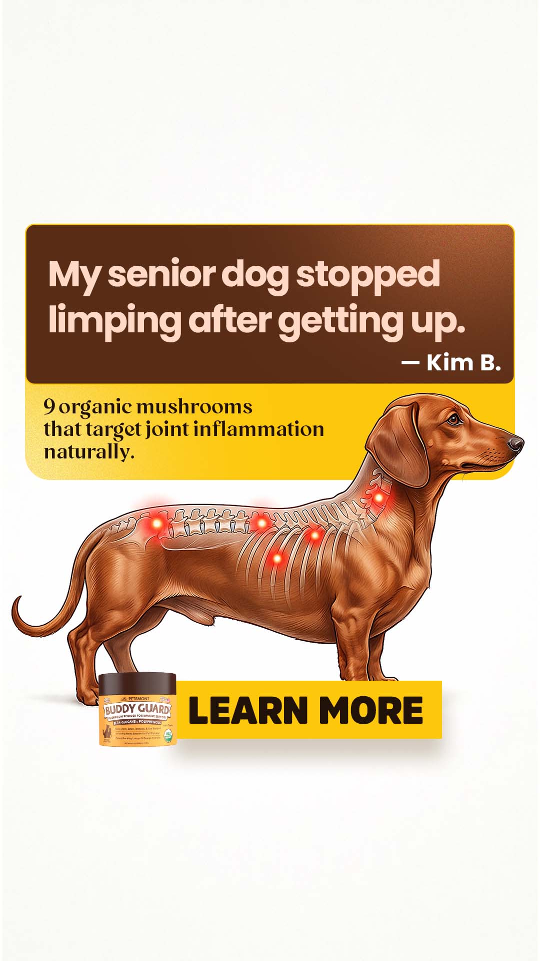 Well Pup Life Facebook ad