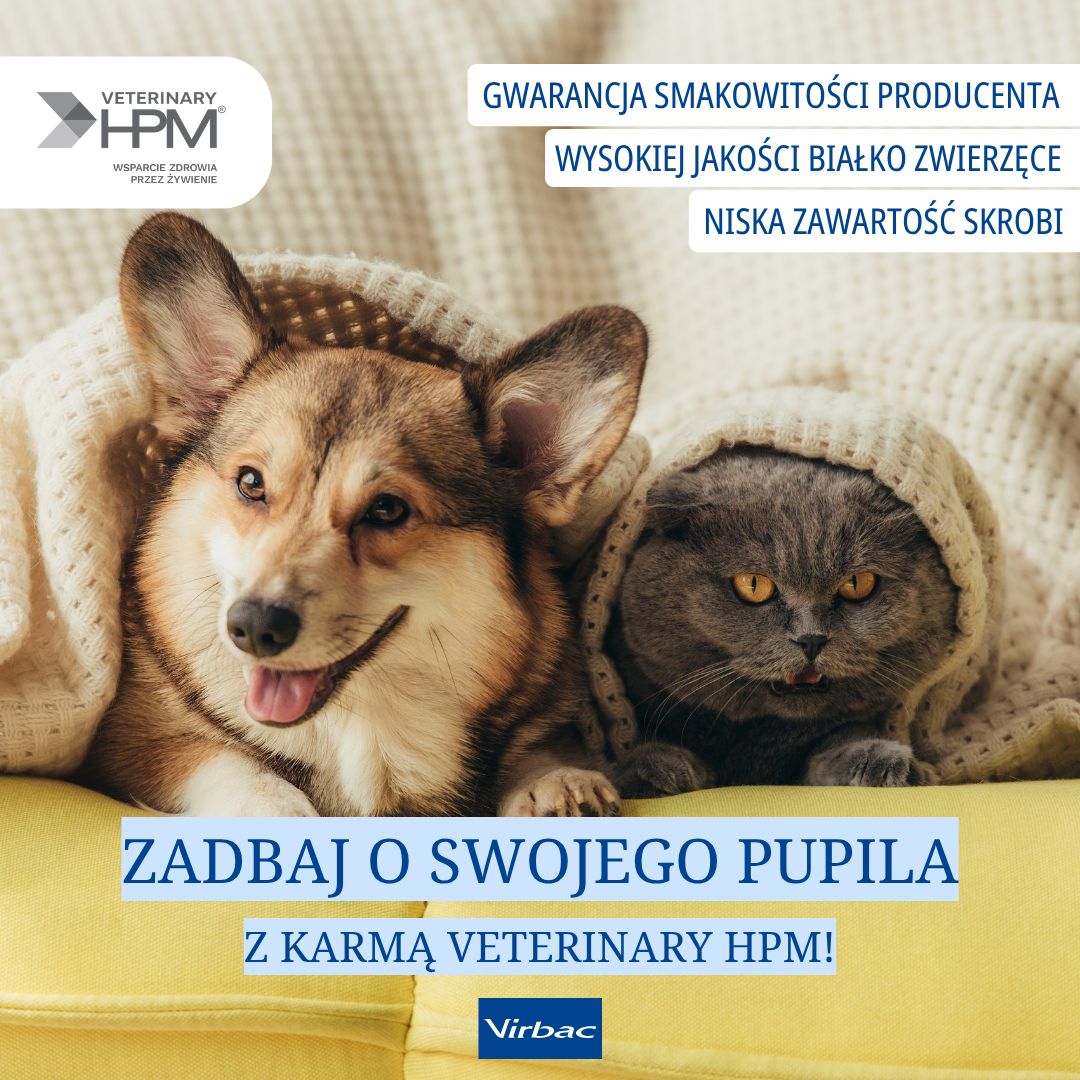 zoona.pl Internetowy sklep zoologiczny Facebook ad: Produkty najwyższej jakości