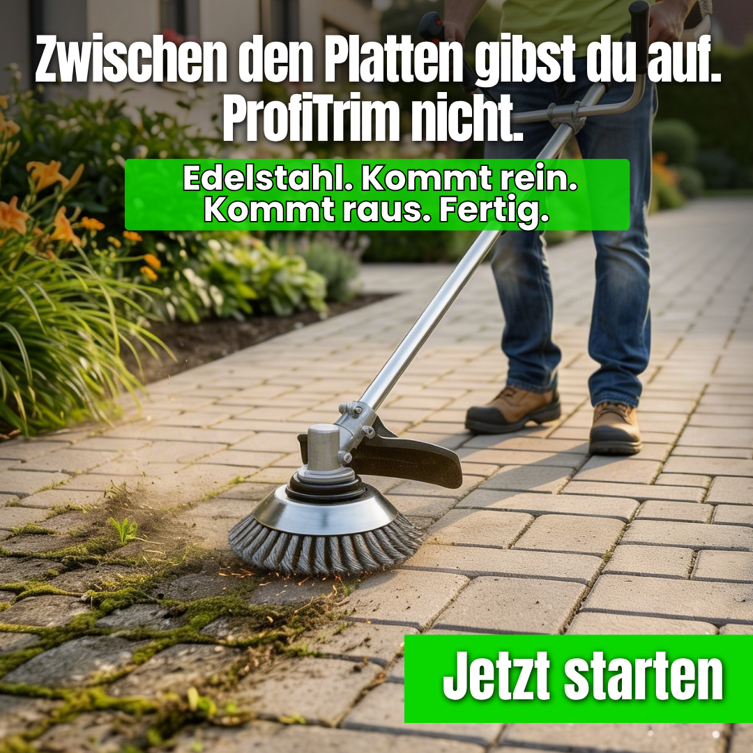 NaturVibes Facebook ad