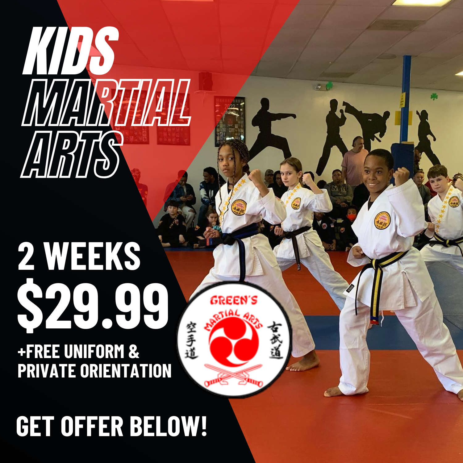 Green's Martial Arts Facebook ad