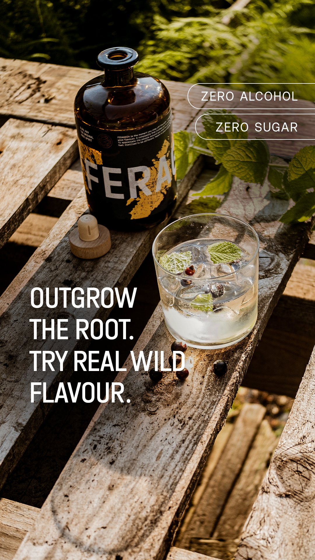 Feragaia Facebook ad: Finally! A True Alcohol Free & Sugar Free Spirit.
