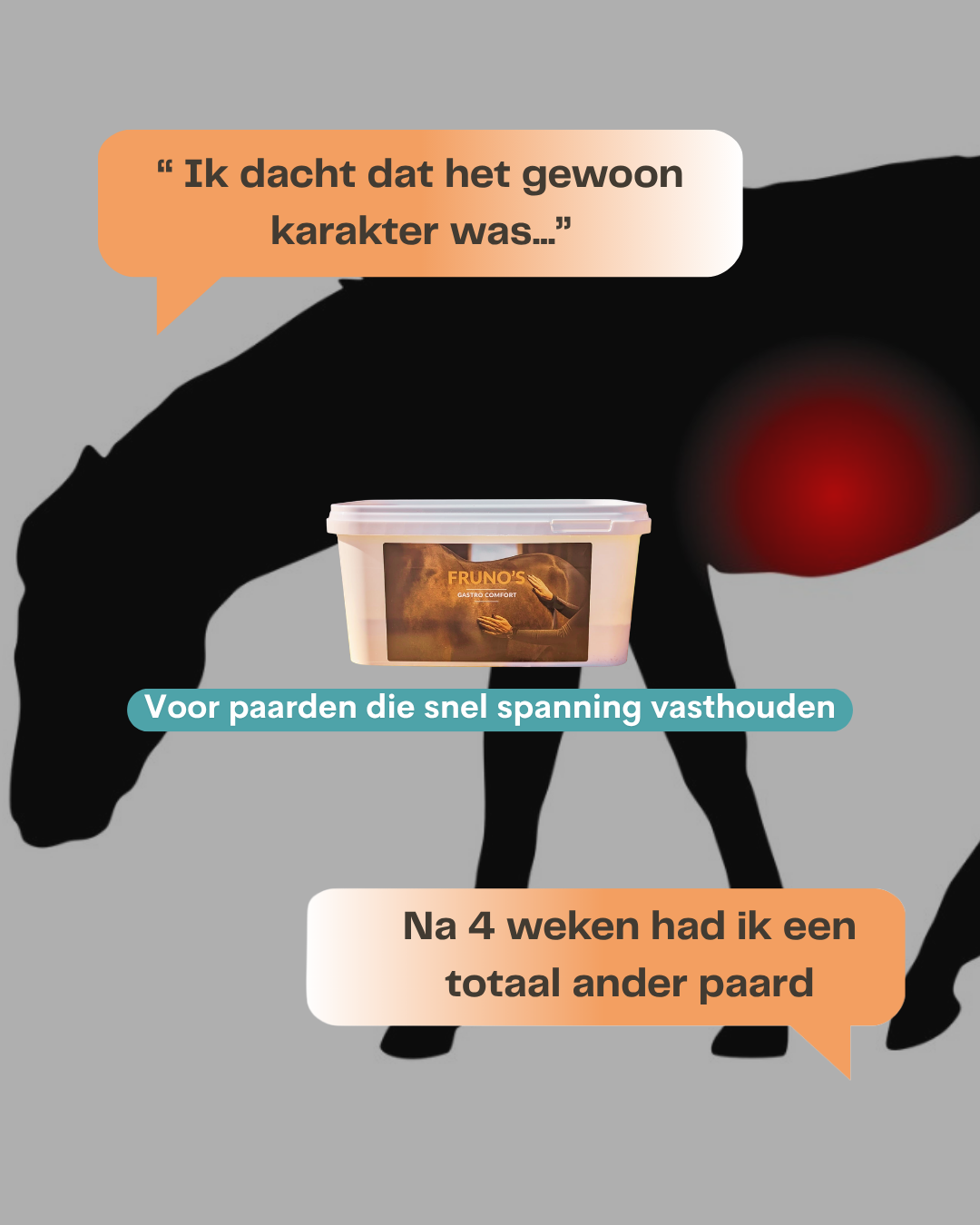 Frunos horse supplements Facebook ad: Fruno's Gastro Comfort voor paarden - Ondersteunt de maag…