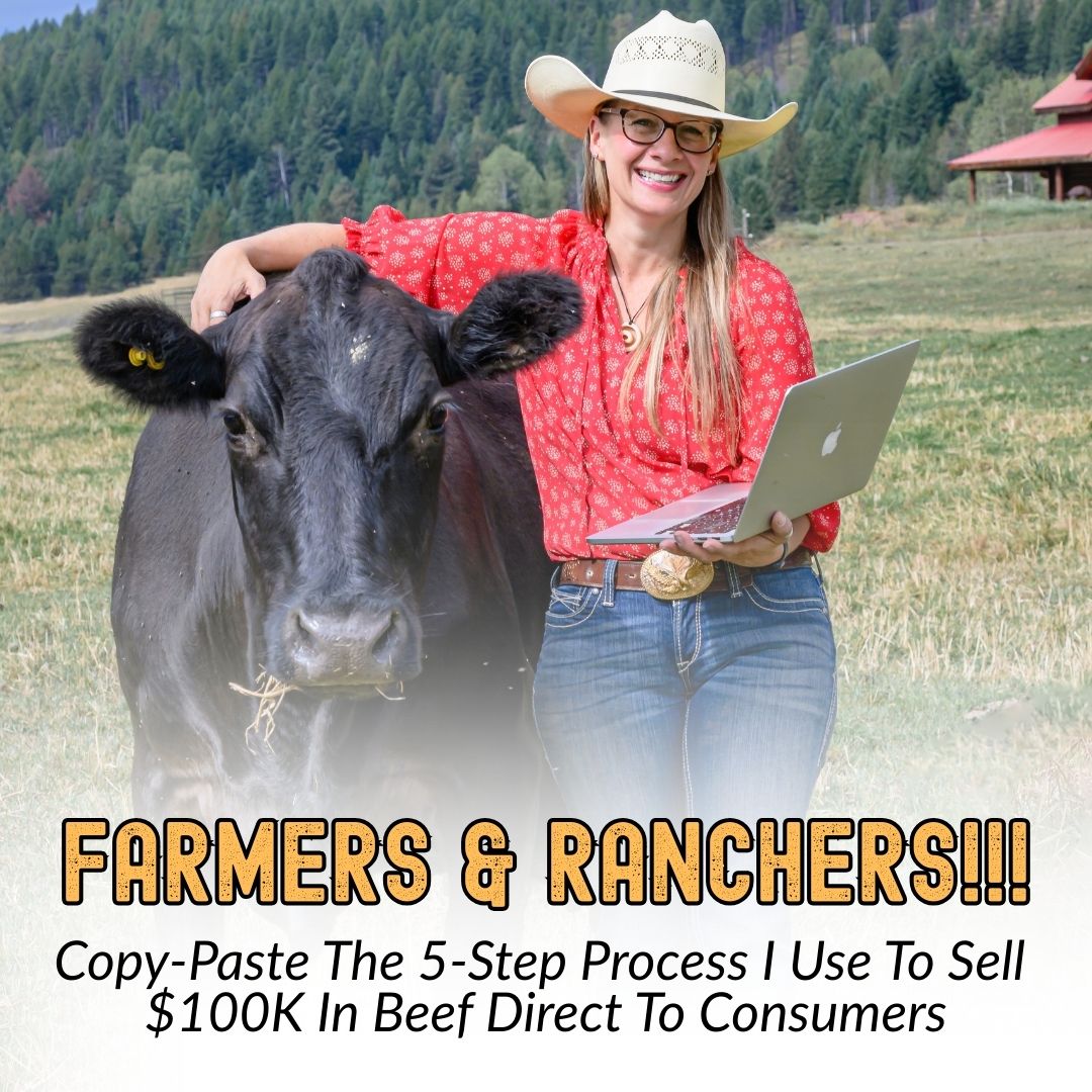 Sell Beef Direct Facebook ad