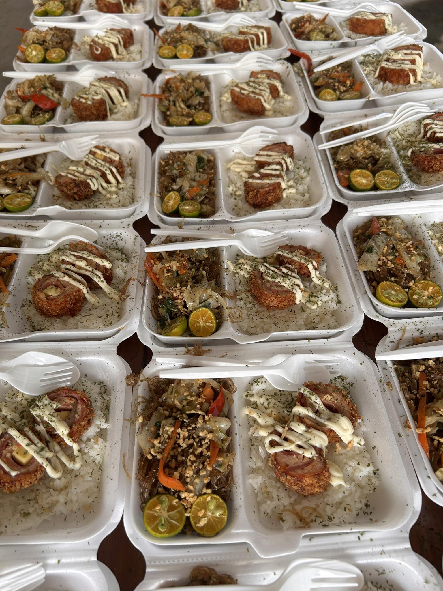 ๐๐ก๐ ๐๐ฐ๐๐๐ญ ๐๐ง๐ฌ๐๐ง๐ข๐ญ๐ฒ Facebook ad: โฑ100 Packed Meals Combo.