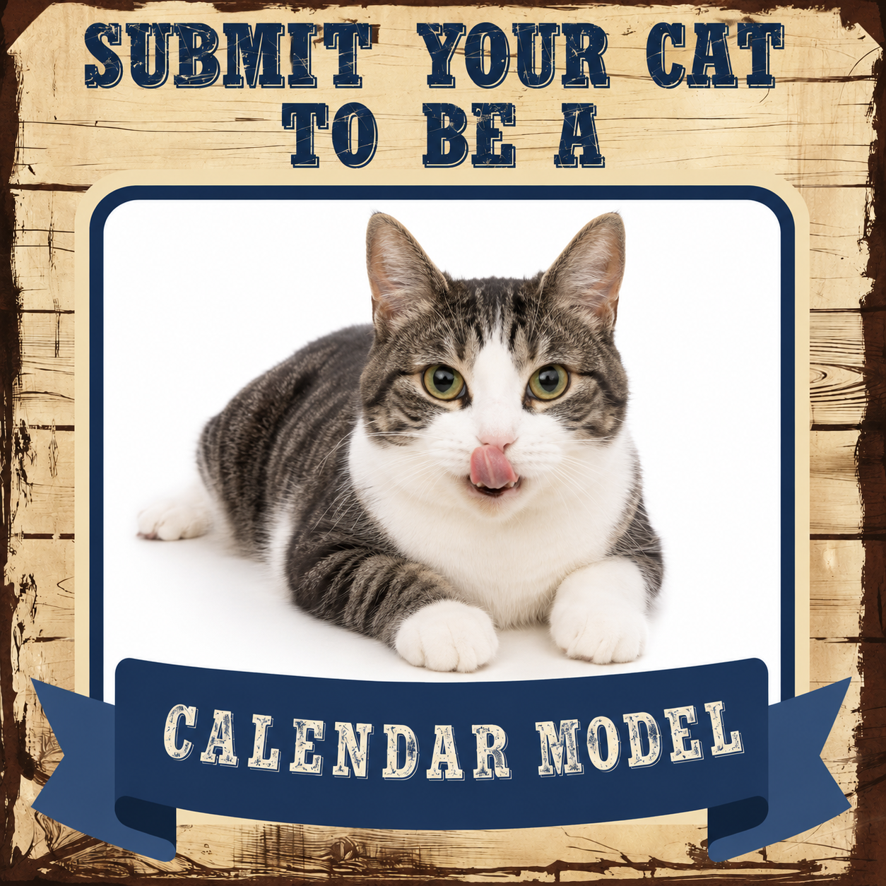 Pawidols Facebook ad: Your Pet Could Be a Calendar Star!